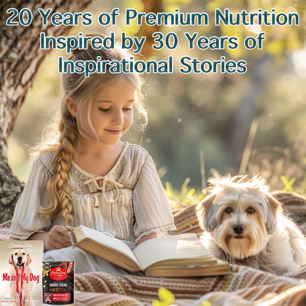 Chicken Soup for the Soul All Natural Premium Savory Sticks Soft & Chewy Dog Treats, Real Beef First Ingredient, No by-Products,