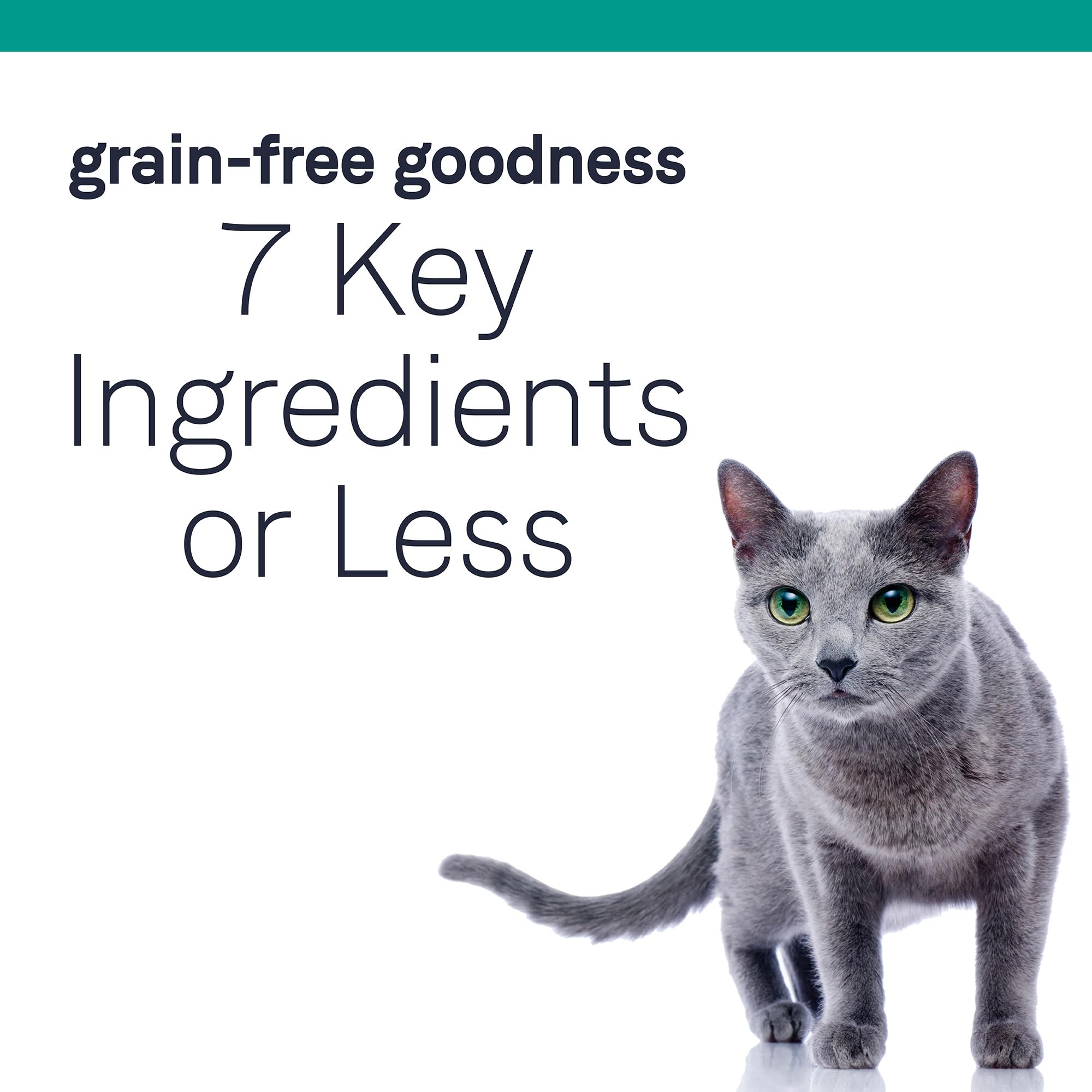 Canidae Pure Limited Ingredient Premium Dry Cat Food, Real Chicken Recipe, 10 lbs, Grain Free