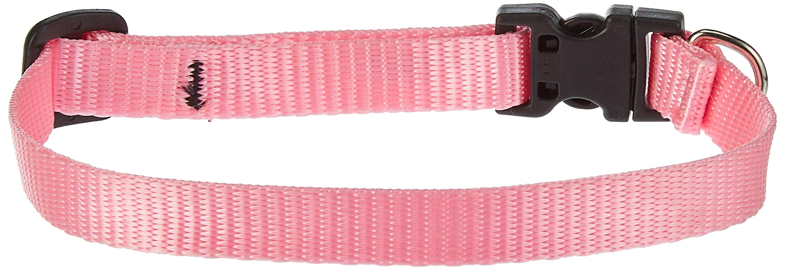 LupinePet Basics 1/2 Pink 10-16 Adjustable Collar for Small Dogs