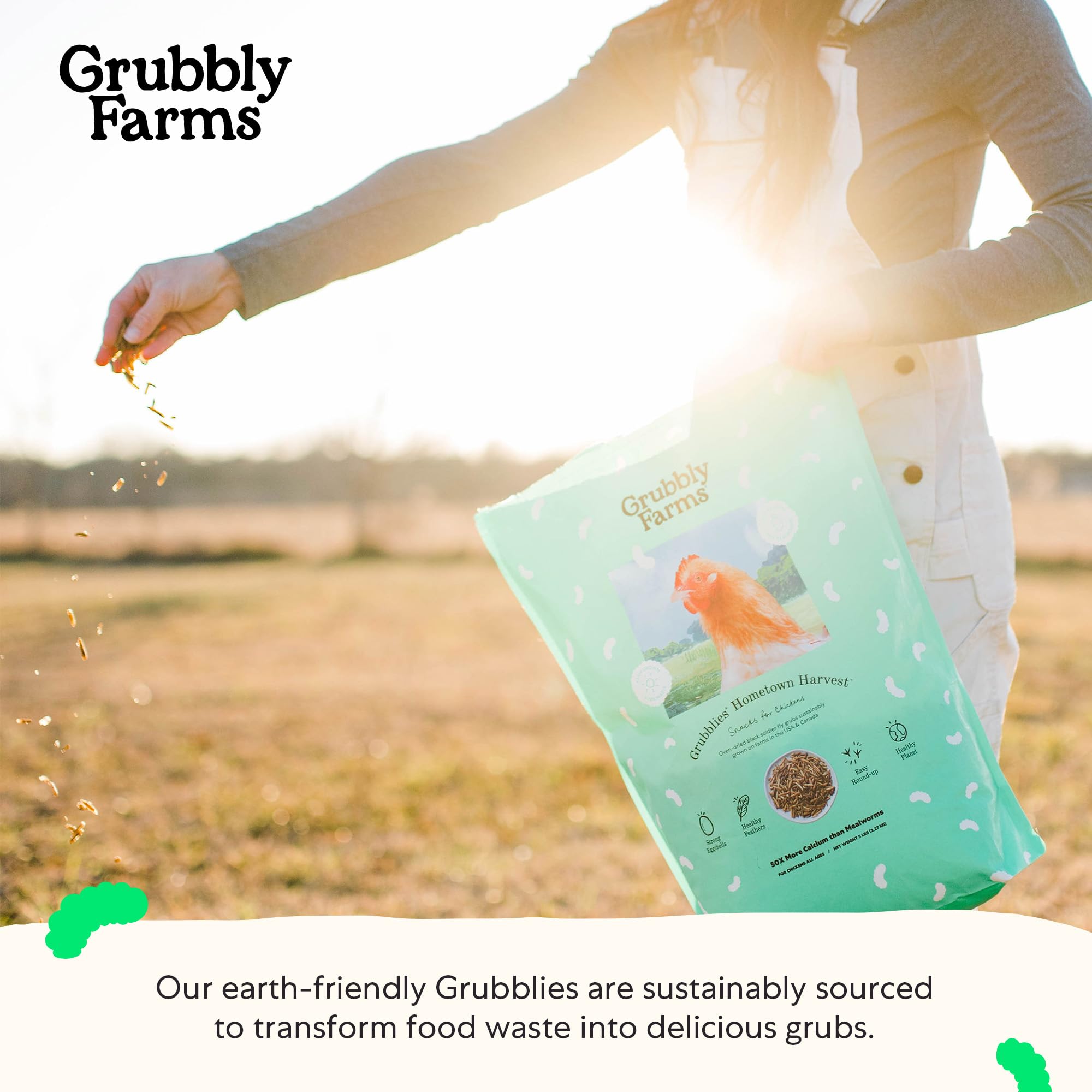 Grubblies - Black Soldier Fly Larvae for Chickens - Chicken Treats Grown in The US and Canada - for Strong Eggshells and Healthy
