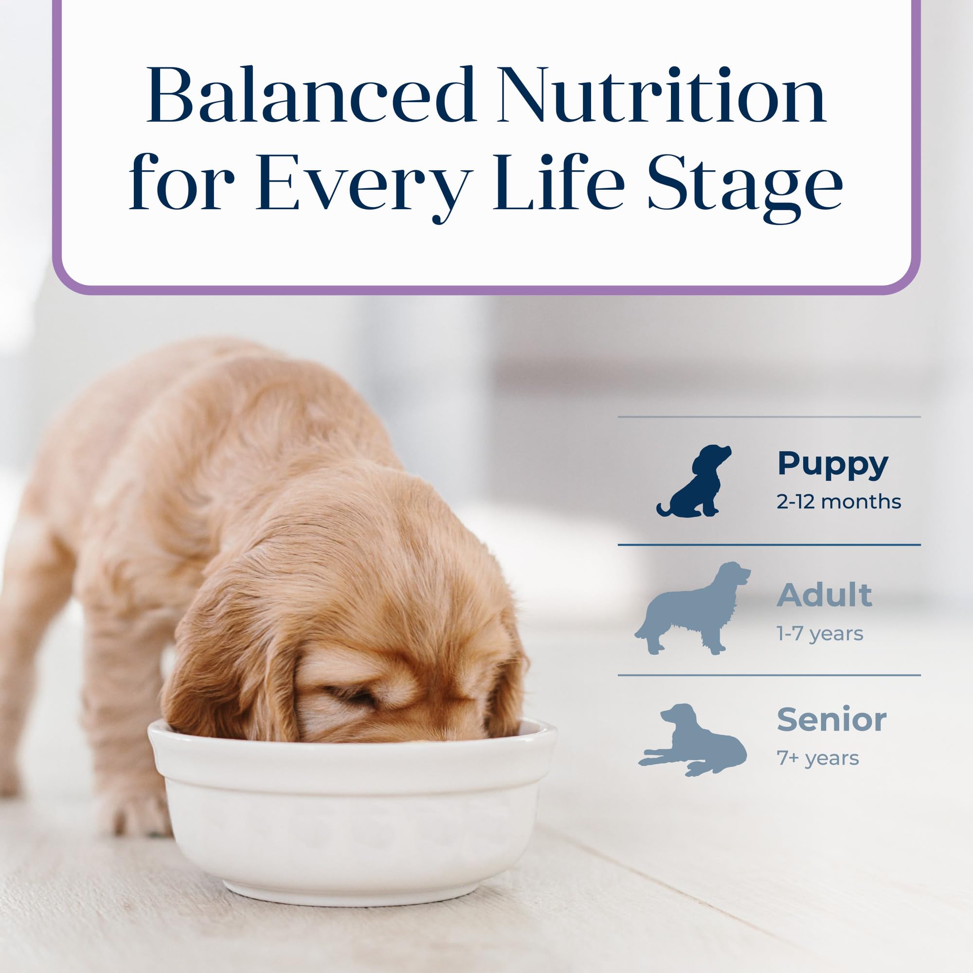 Blue Buffalo Basics Puppy Dry Dog Food for Skin & Stomach Care, Limited Ingredient Diet, Made in the USA with Natural Ingredient