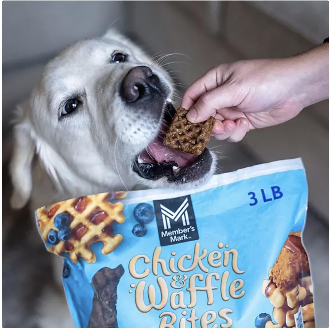 Member Mark Chicken & Waffle Bites Dog Treats - 48 oz (3 lbs) - Chicken Recipe Made with Real Blueberries & Natural Maple Smoke