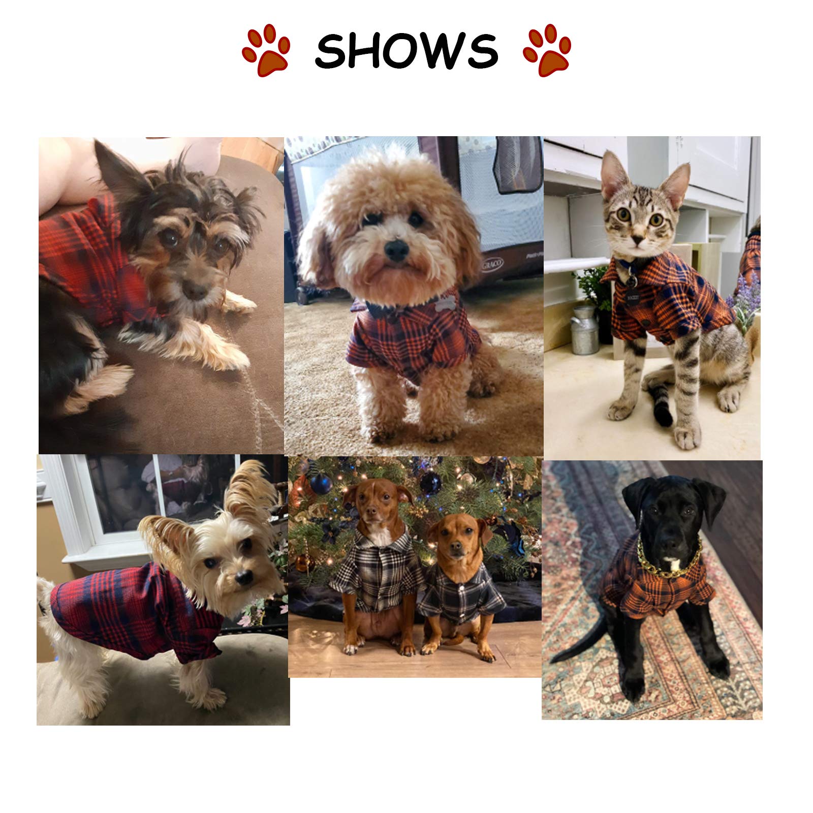Ctilfelix Dog Shirt Plaid For Small Dogs Cats Puppy Boy Girl Dog Clothes Soft Pet T-Shirt Breathable Cat Shirt Clothes Tee Adorable Halloween Thanksgiving [Red#2; Xs]