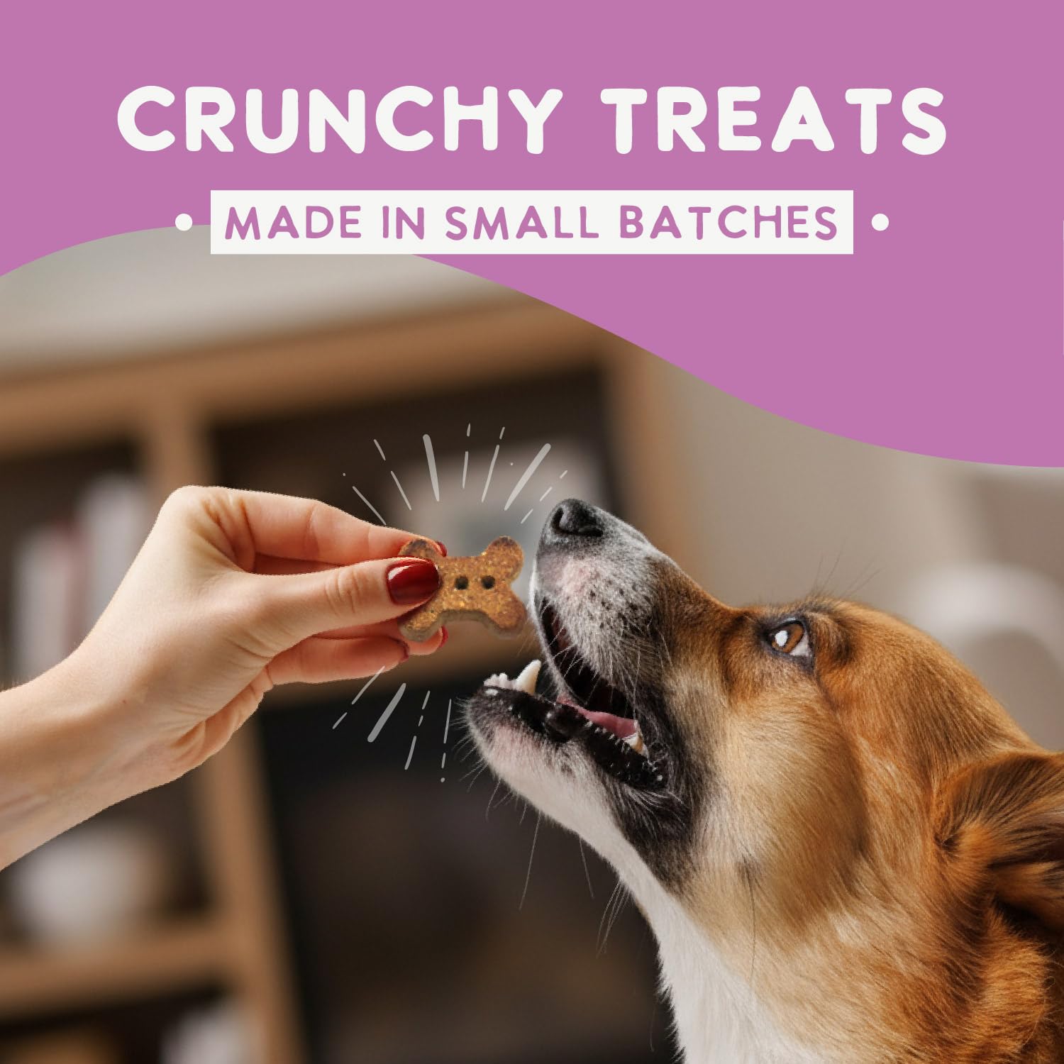 Health Extension Oven-Baked Dog Treats, 2.25lb (1.02kg), Lamb & Blueberry Recipe - Gluten & Grain-Free, Superfood-Infused, Crunc