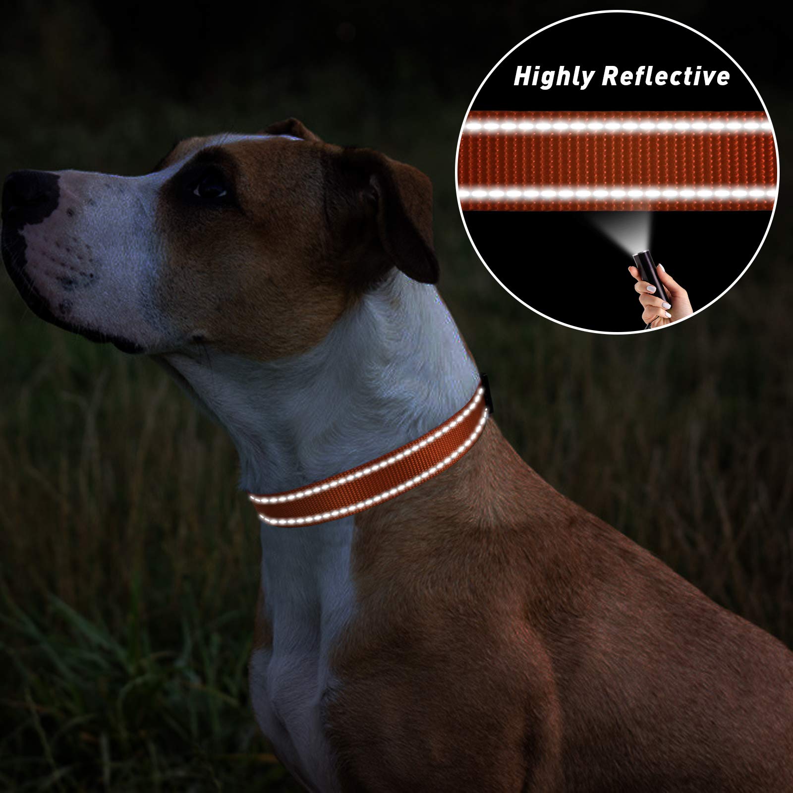 Tagme Reflective Nylon Dog Collars, Adjustable Classic Dog Collar With Quick Release Buckle For Small Dogs, Orange, 5/8' Width