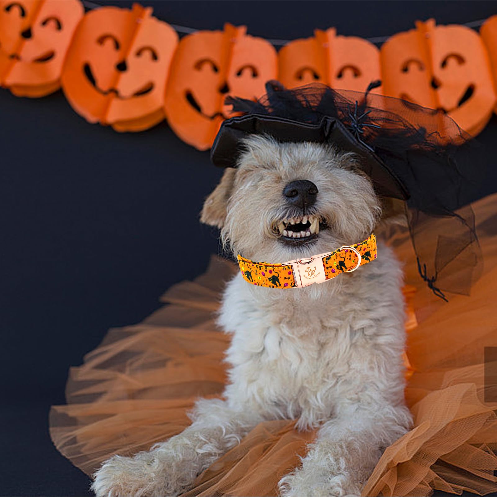 Elegant Little Tail Dog Collar, Halloween Dog Collar Cat Print Pet Collar Dog Girl Boy Pet Collar Puppy Collar Cotton With Metal