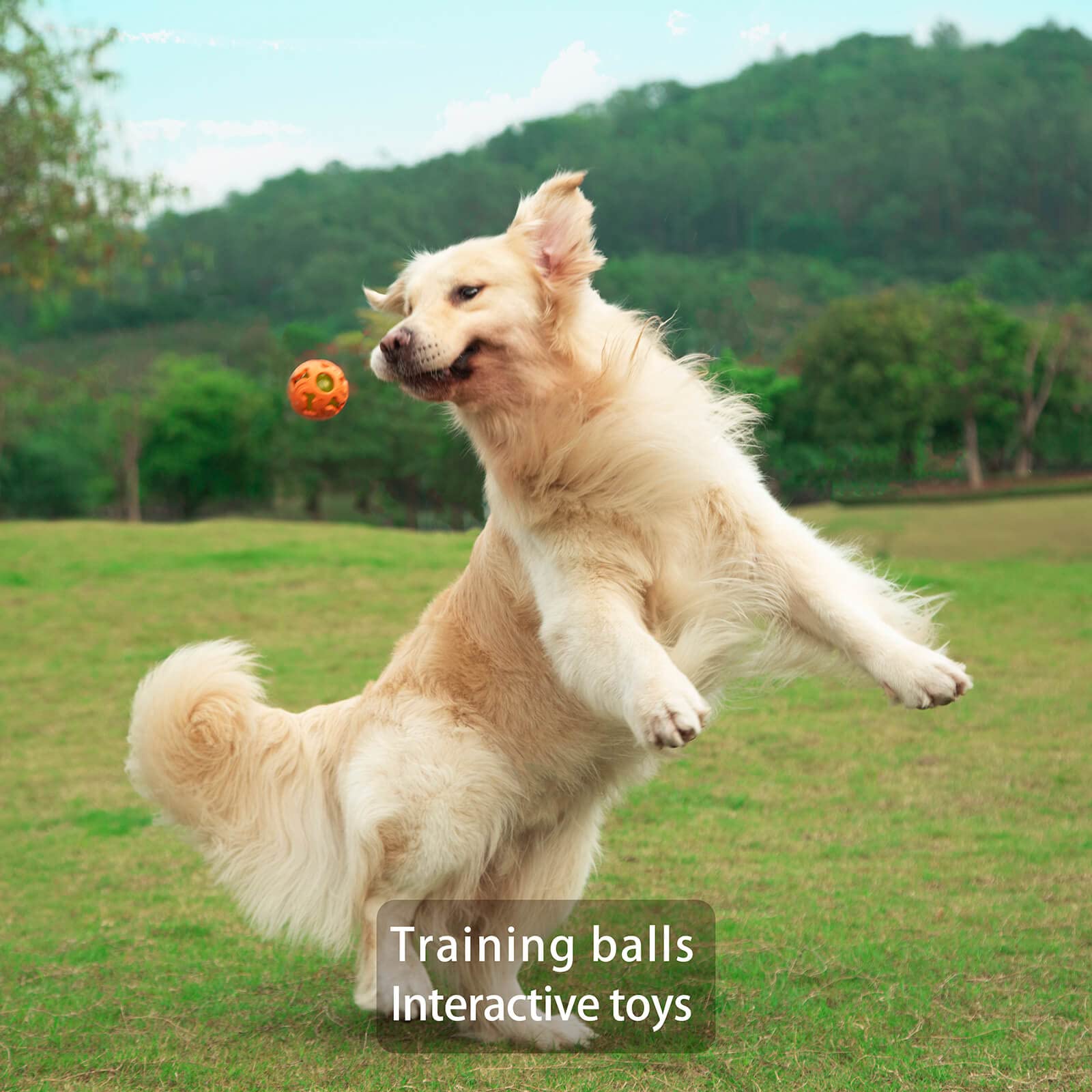Leejec Interactive Light Up Dog Balls, 2.5" Durable Rubber Fetch Toys, 3-Pack - Orange, Green, Blue for Medium & Small Breeds