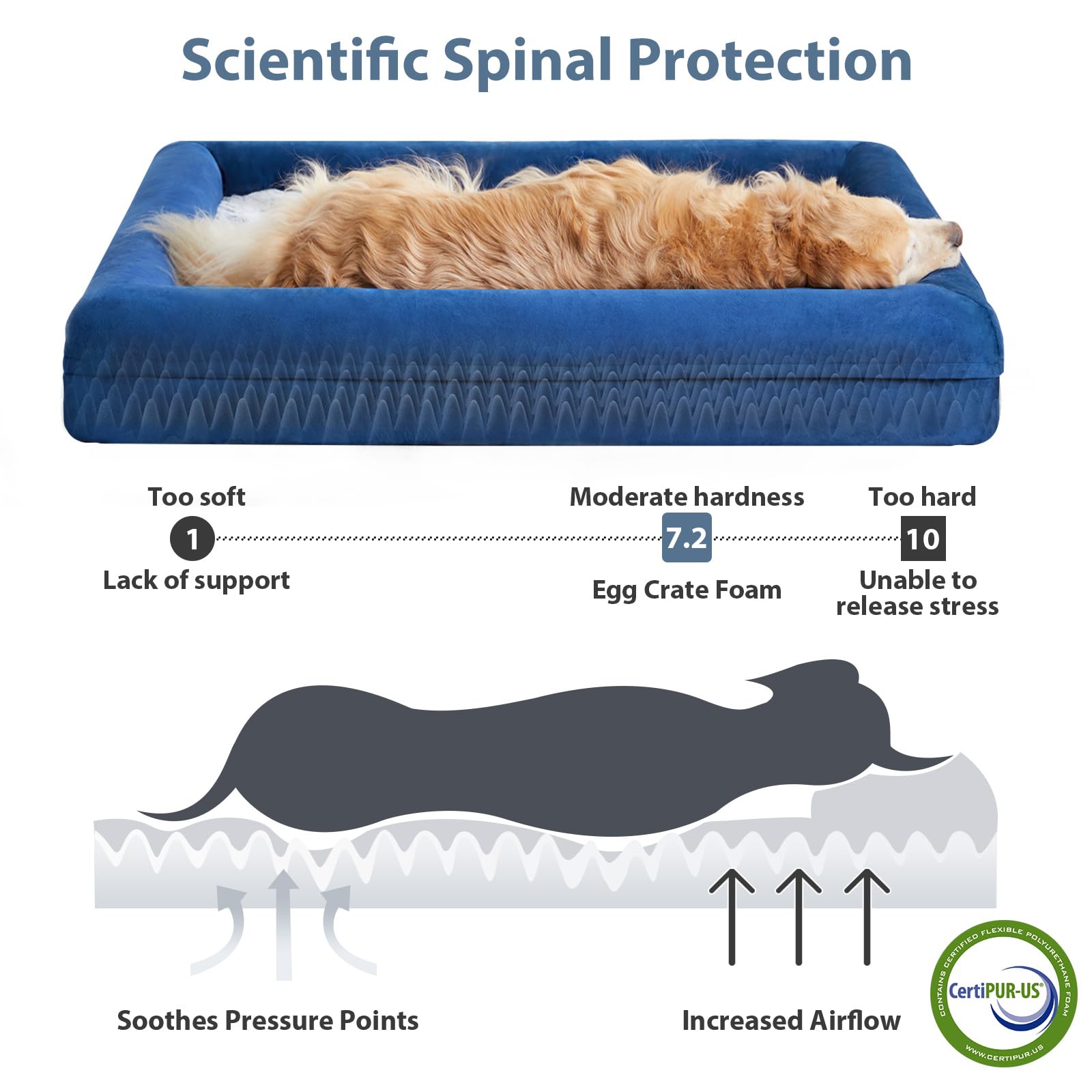 Wnpethome Washable Xxxxl Dog Bed, Orthopedic Sofa With Removable & Waterproof Cover, Extra Large Couch With Bolster Sides For Sl