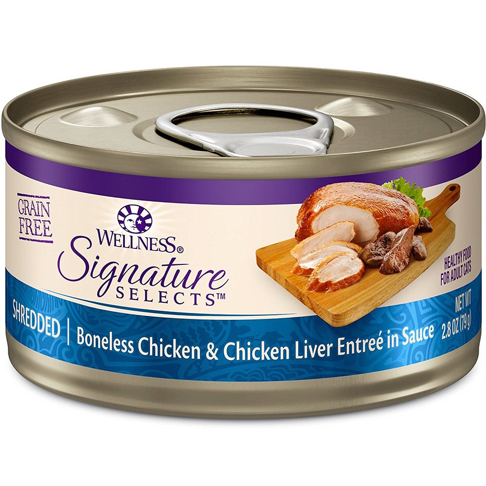 Wellness Canned Grain Free Wet Cat Food - Variety Bundle 4 Flavors Pack with Hotspot Pets Food Bowl (12 Cans) (Chicken & Beef, C