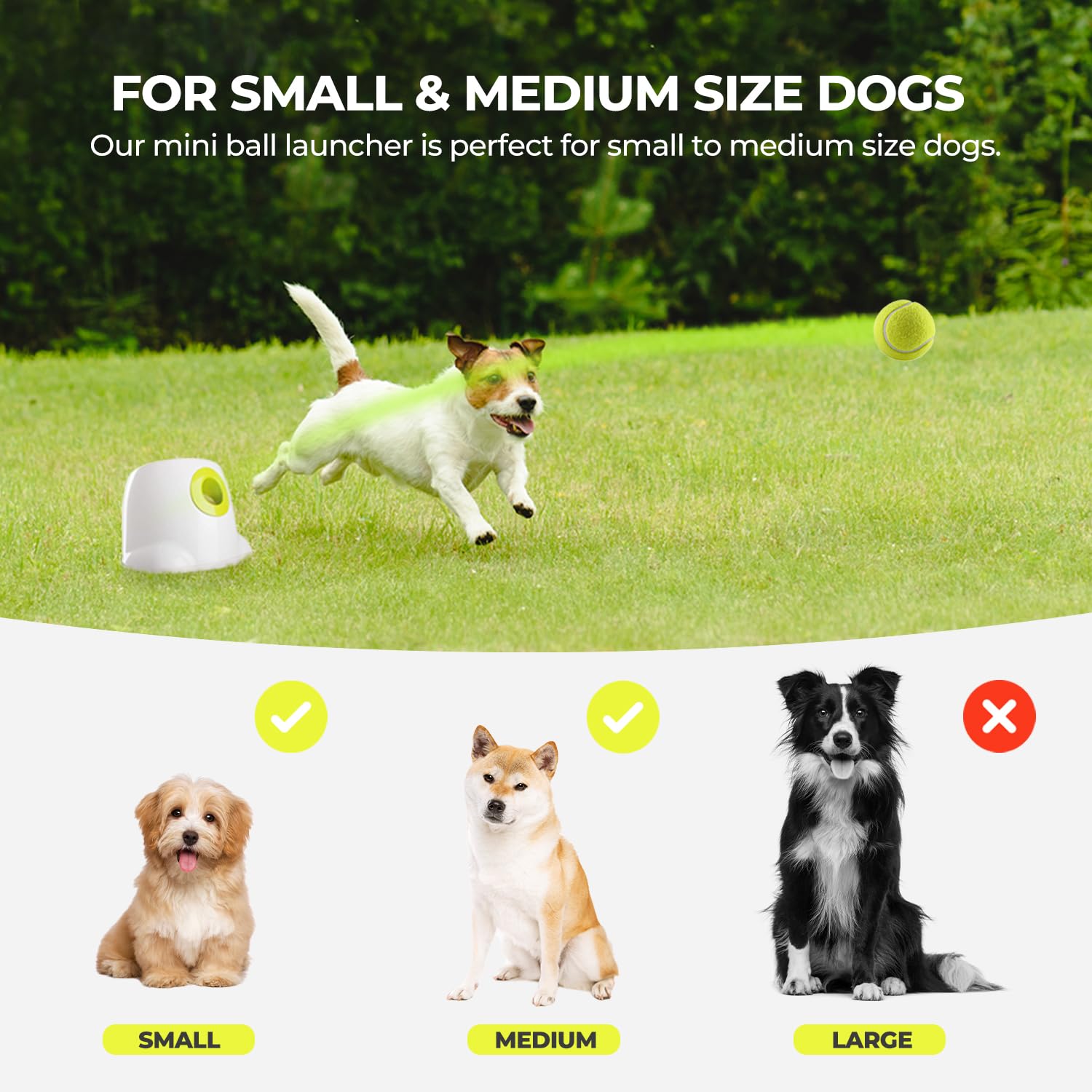ALL FOR PAWS Original Dog Automatic Ball Launcher for Small and Medium Dogs, Dog Tennis Ball Throwing Machine,Interactive Dog To