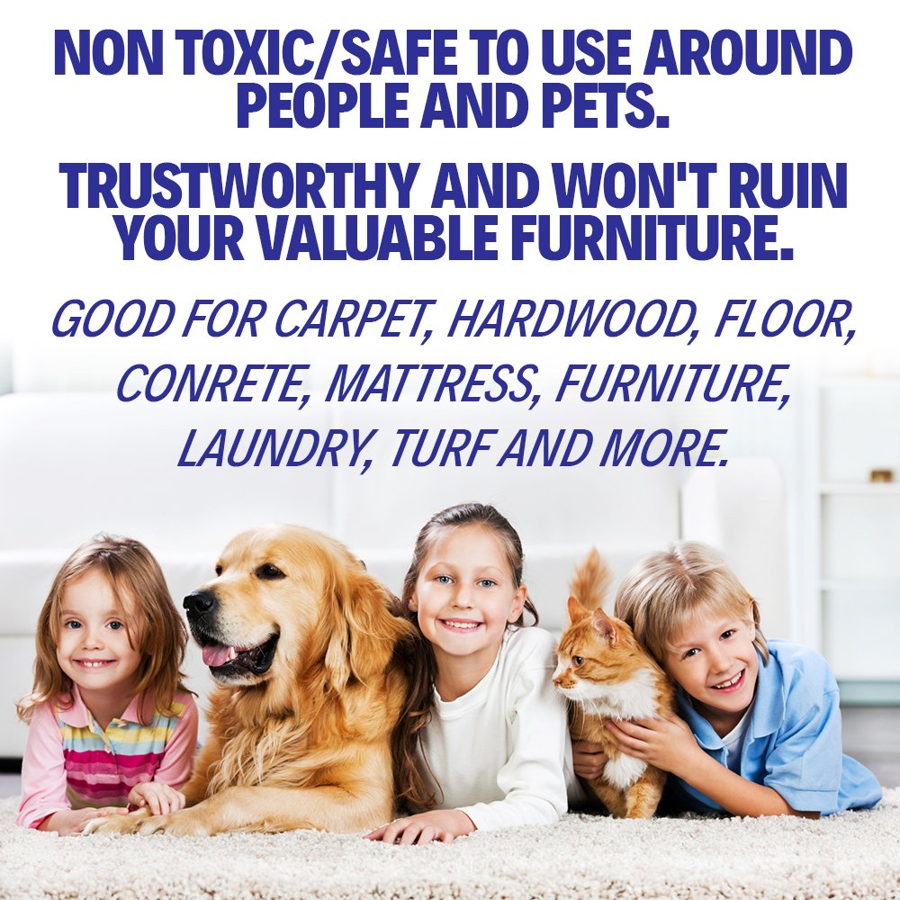 Removeurine Pet Odor Eliminator For Home & Urine Destroyer - Pet Urine Odor Eliminator Spray - Urine Remover For Dogs And Cats - Pet Carpet Cleaner Solution