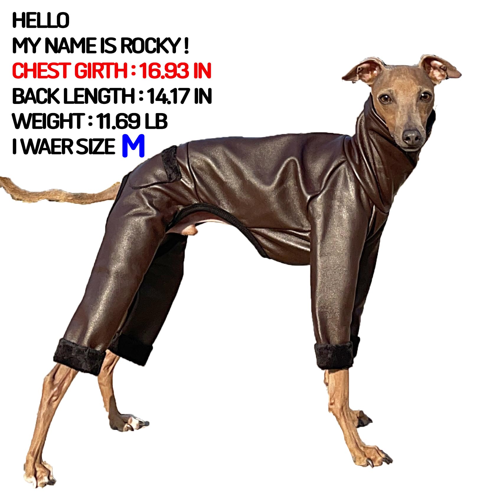 D Doggy Star Italian Greyhound Coat Stretchable Aartificial Leather Fleece Lining Clothes Whippet For Dog (M,Leather Brown)