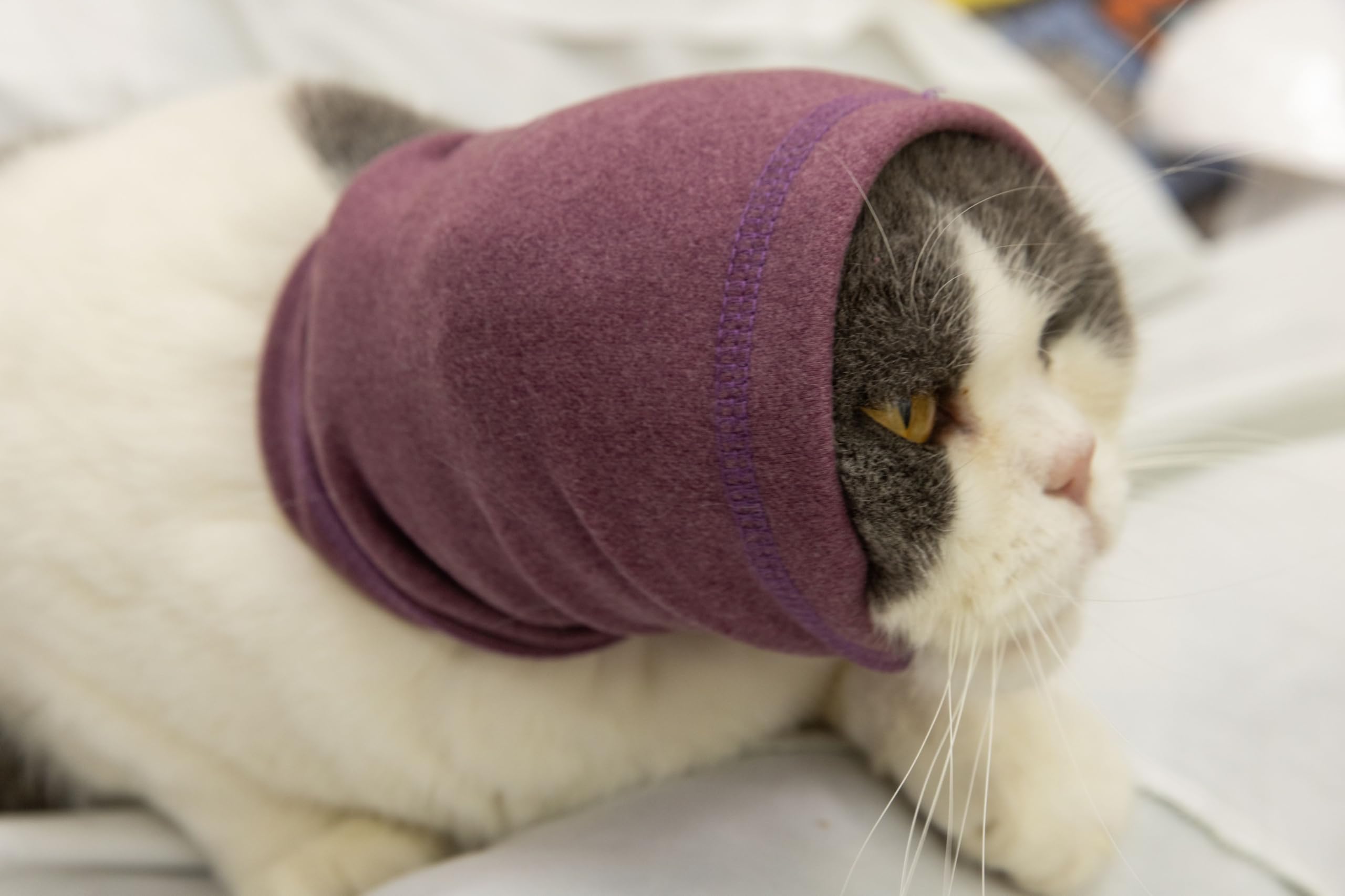 DDFS Cat Snood Cover Noise Cancelling Ear Wrap Neck Cat Head Cover Ear Wrap for Baths Pail Lilac S