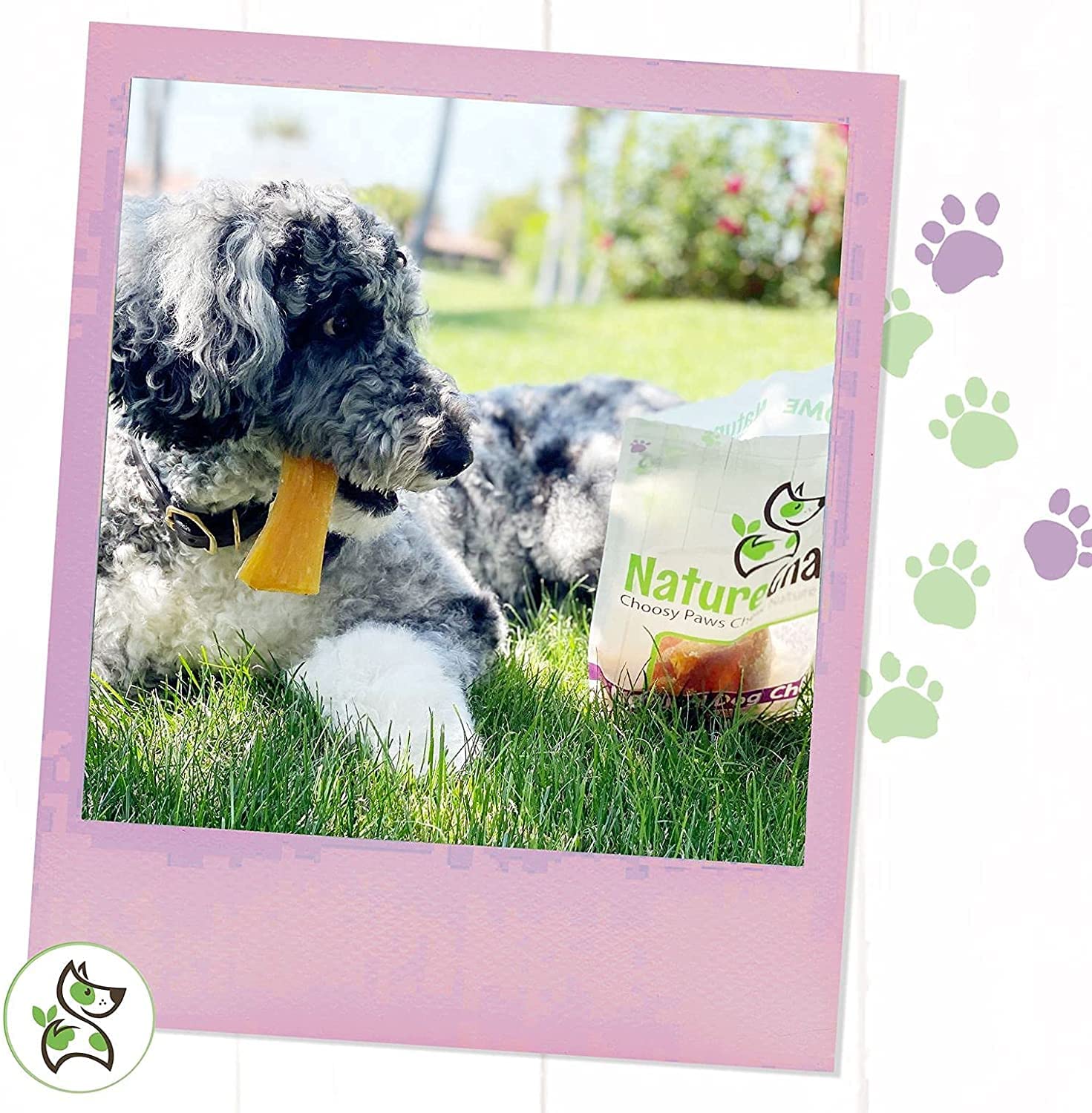 Nature Gnaws Beef Paddywack Tendons for Dogs 5-6 (10 Count) - Long Lasting for Aggressive Chewers - Natural Beef Dog Chew Bones