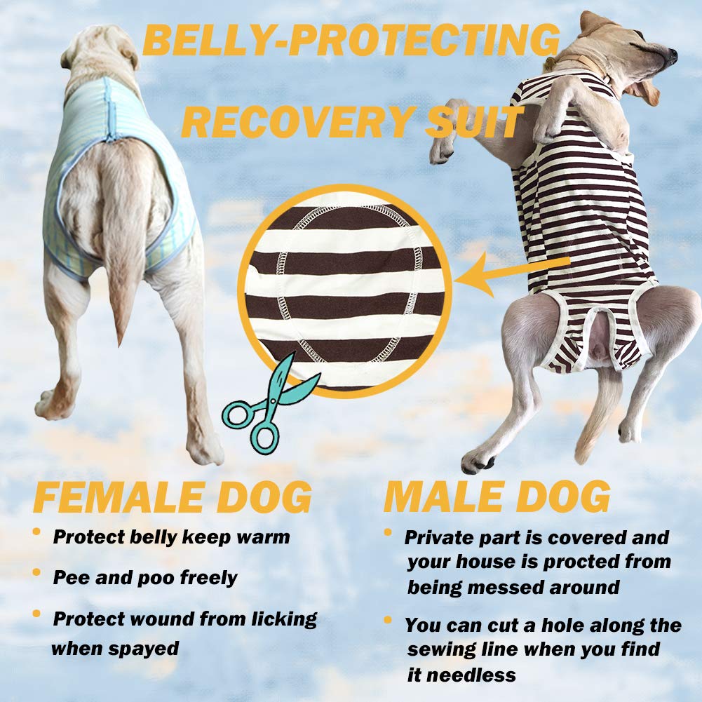 Dogs Recovery Suit Post Surgery Shirt For Female Male Dog, E-Collar Alternative Wound Protective Clothes (Navy-White-4Xl)