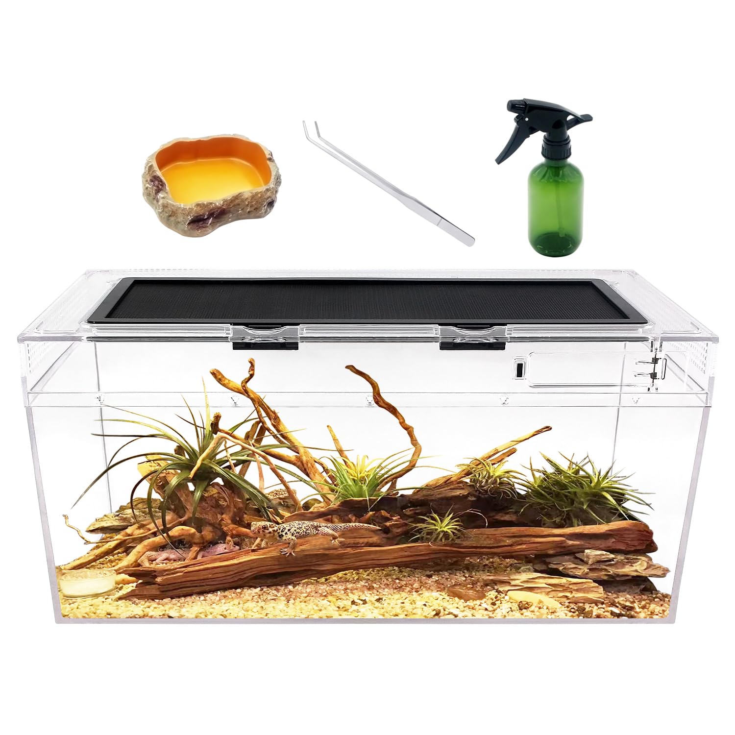 Reptile Pc Terrarium Set, 6.6 Gallon Reptile Tank 20'' X 10''X 8'',For Insect,Fish,Tarantula,Hermit Crab,Jumping Spider,Iguana,T