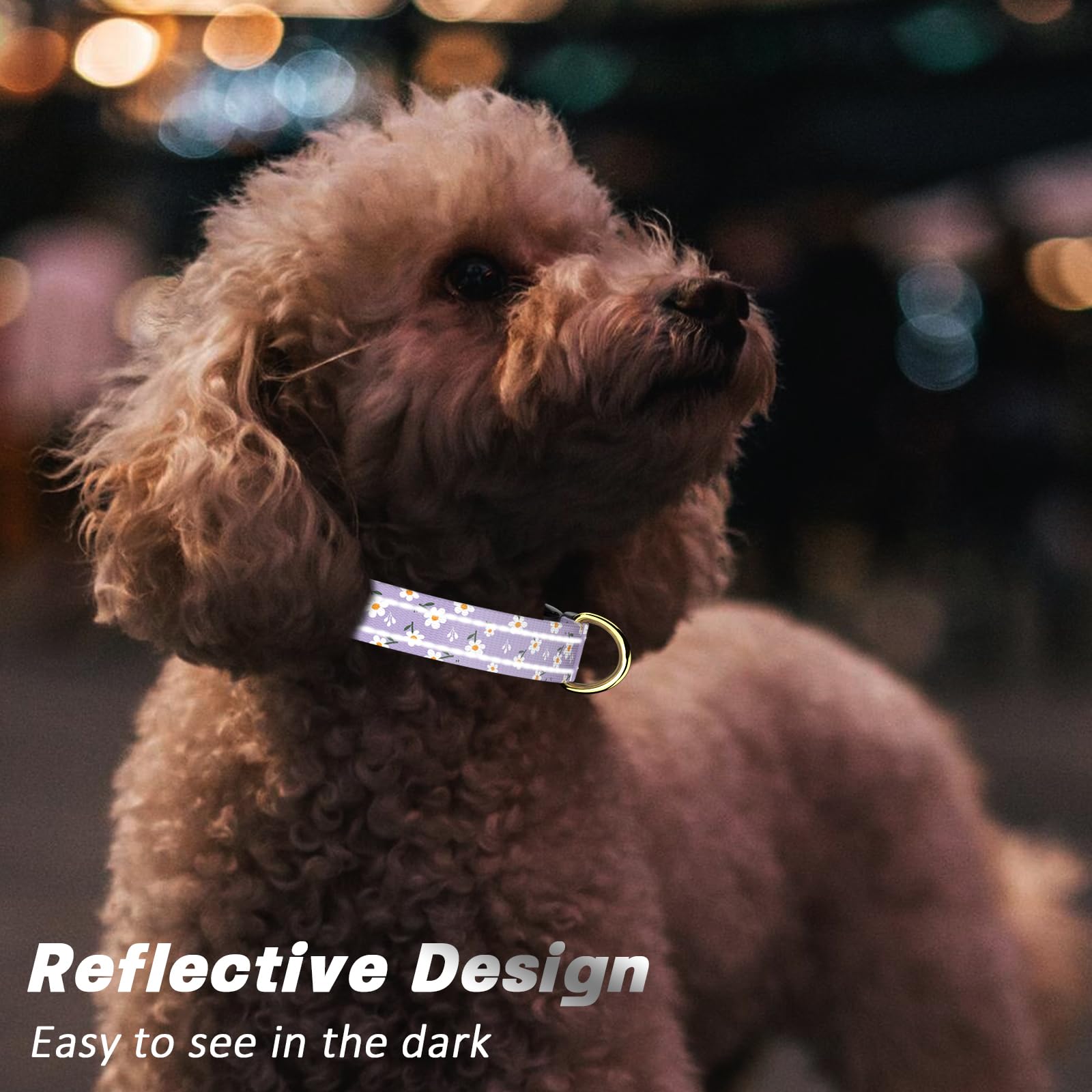 Tmoodel Reflective Dog Collar For Small Dogs, Cute Flower Theme Adjustable Heavy-Duty Nylon Puppy Collar For Boy And Girl Female