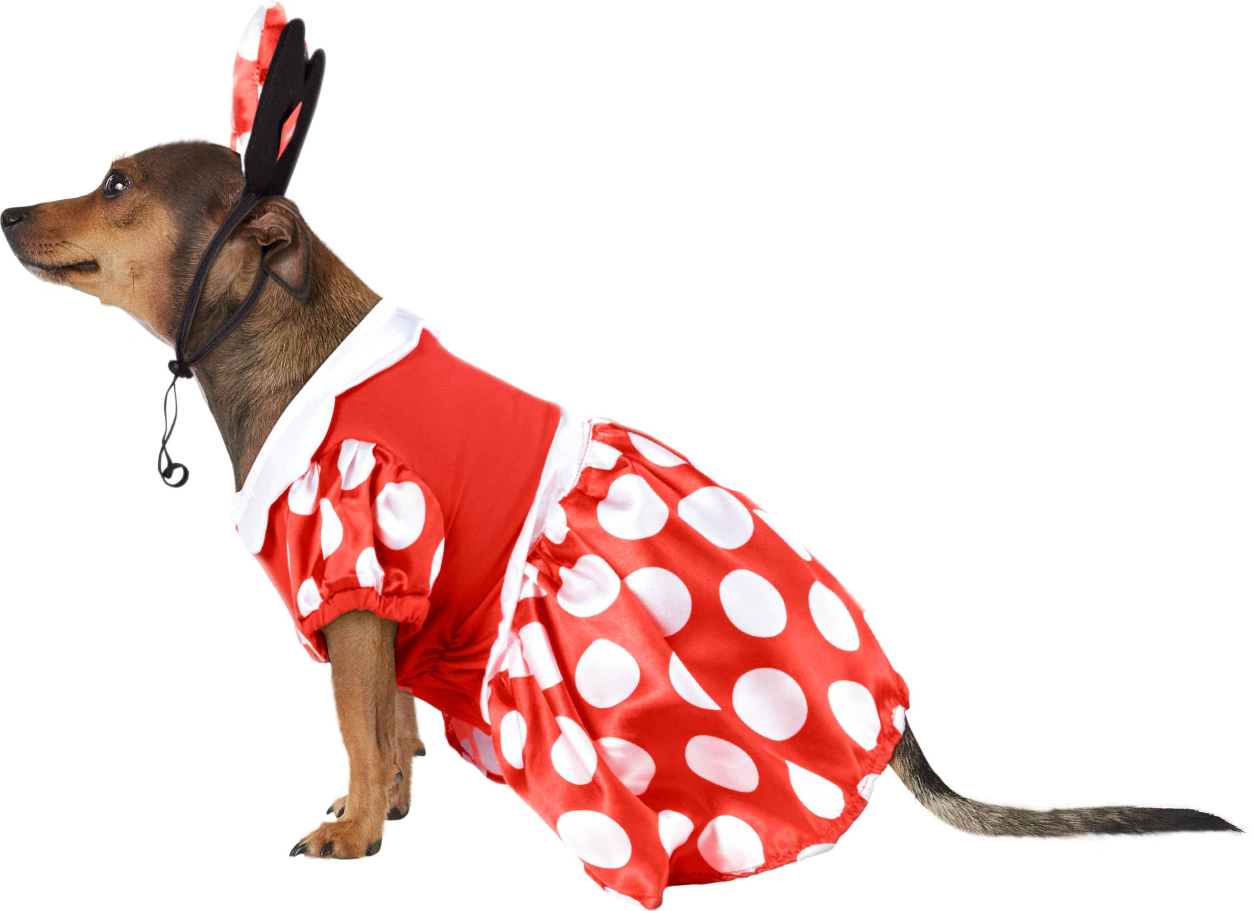 Disney: Minnie Mouse Pet Costume for For Dogs or Cats by Rubies, Small