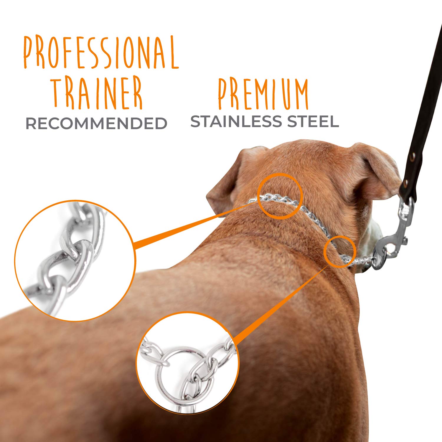 Mighty Paw Slip Collar - Stainless Steel - Weather Resistant - Tarnish Proof - Durable Chain Dog Choke Collars - No Pull Dogs Tr