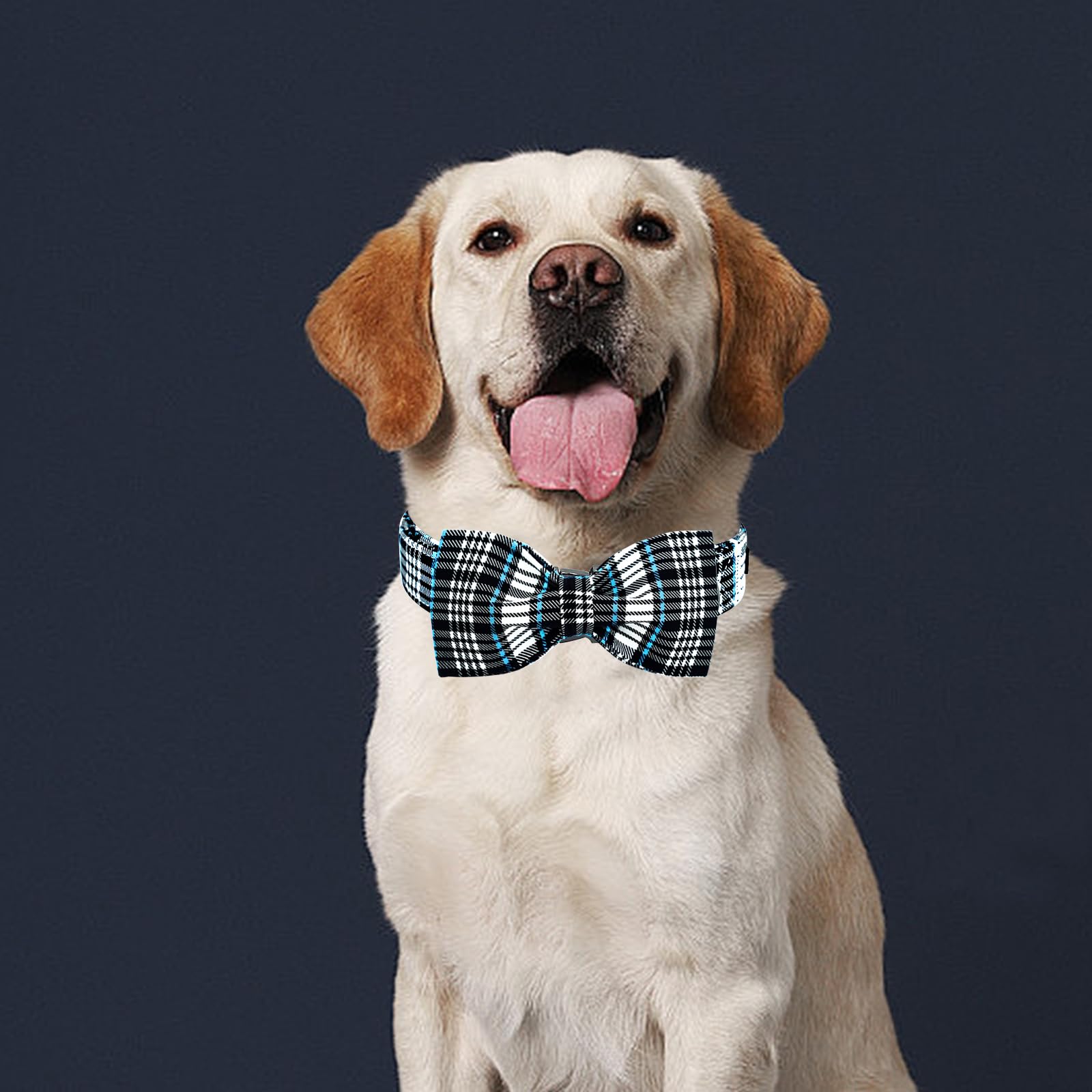 Lionheart Glory Dog Bow Collar Blue And Black Plaid Dog Collar For Small Dogs,Boy Dog Collars With Bowtie Spring Summer Collars