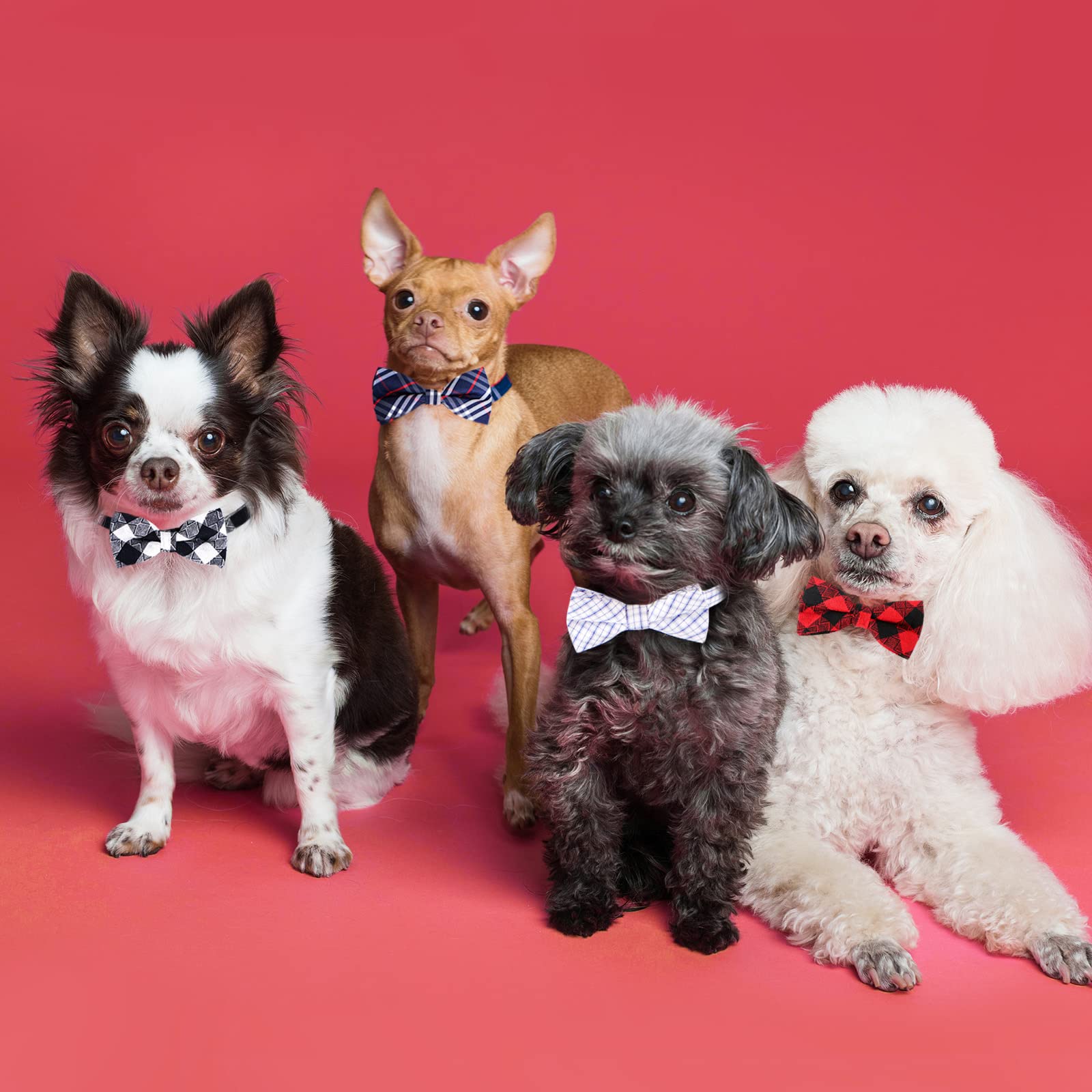 Segarty Dog Bow Tie, 10 Pcs Bowties Dog Collar Holiday Cat Collar Grooming Bulk Bows For Pet Puppy Photography Festival Party Neck Wear Gift, Cute And Plaid Patterned