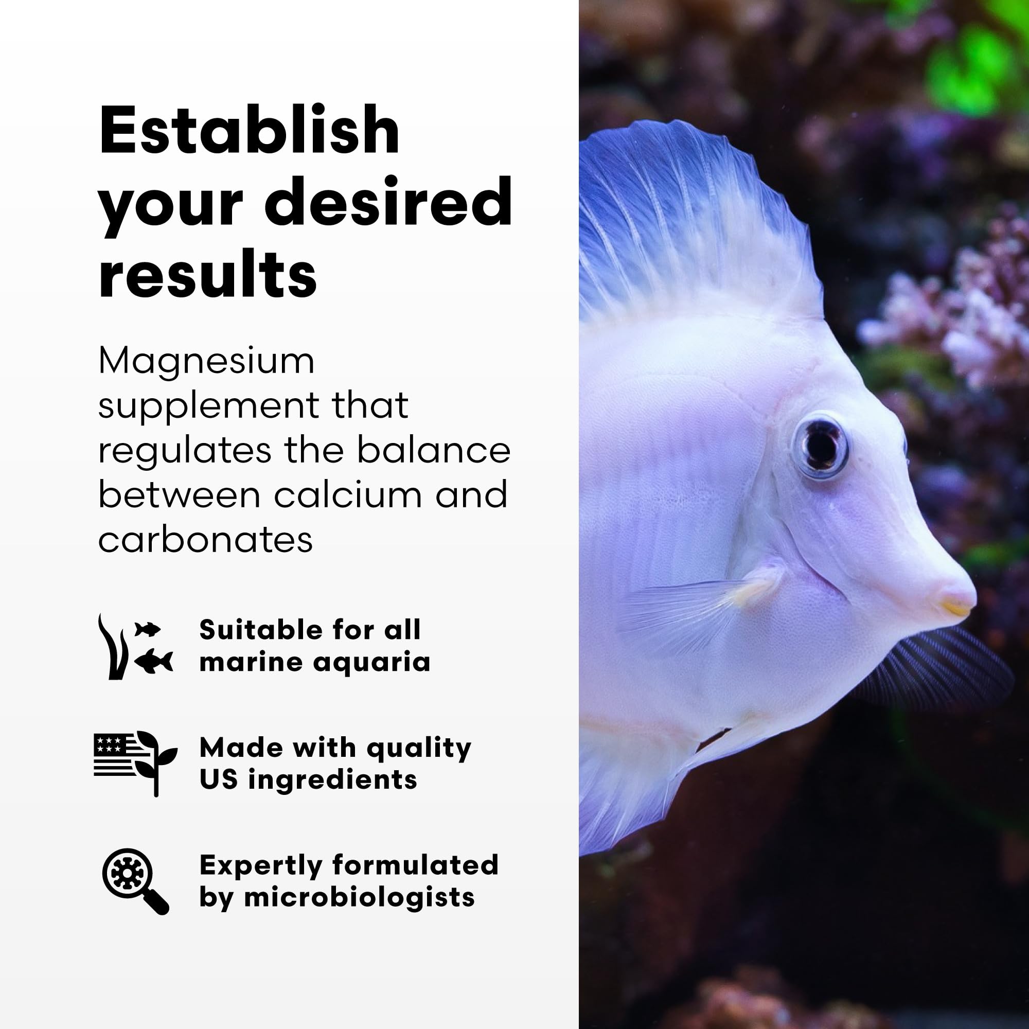 Brightwell Aquatics Magnesion Liquid Salt Water Conditioner - Concentrated Magnesium Supplement for Reef and Marine Aquariums, 3