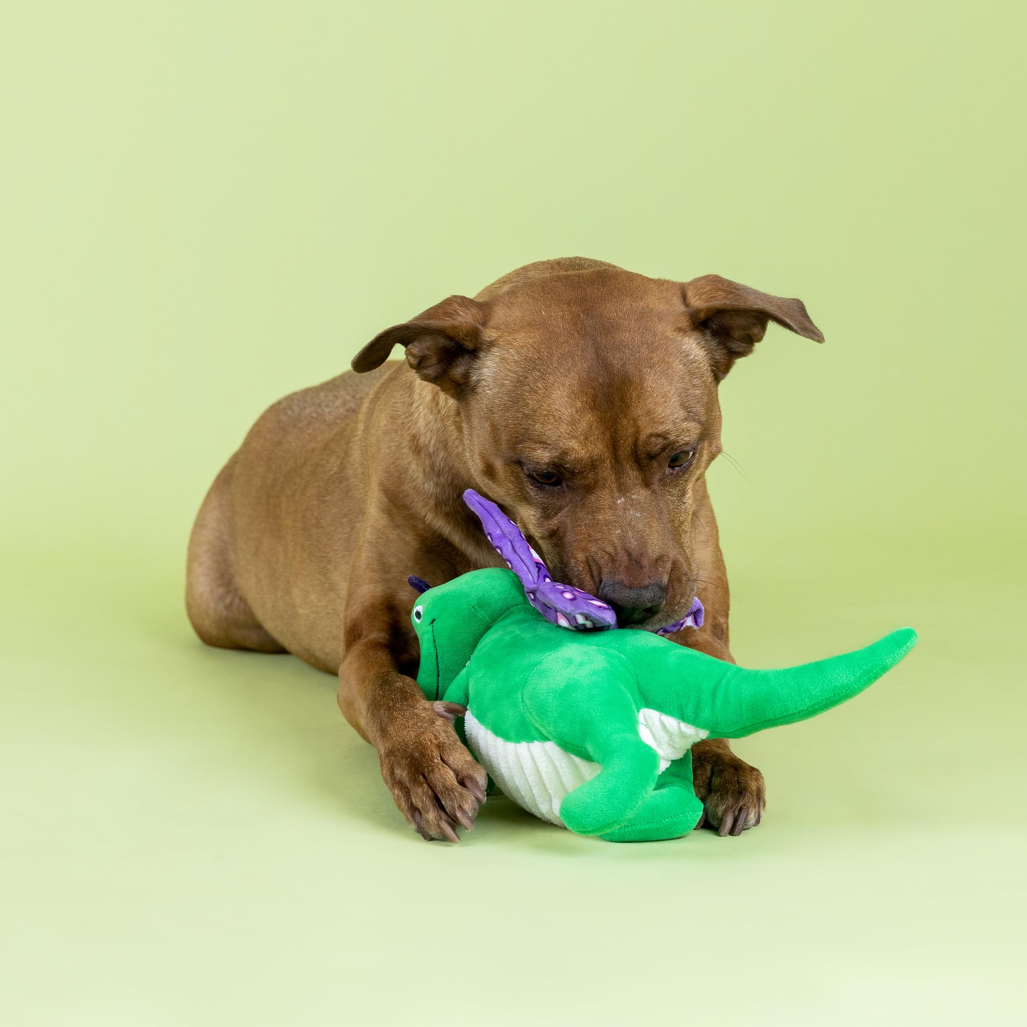 Fringe Studio Flutter REX Plush Dog Toy, Pet Shop Collection (314213)