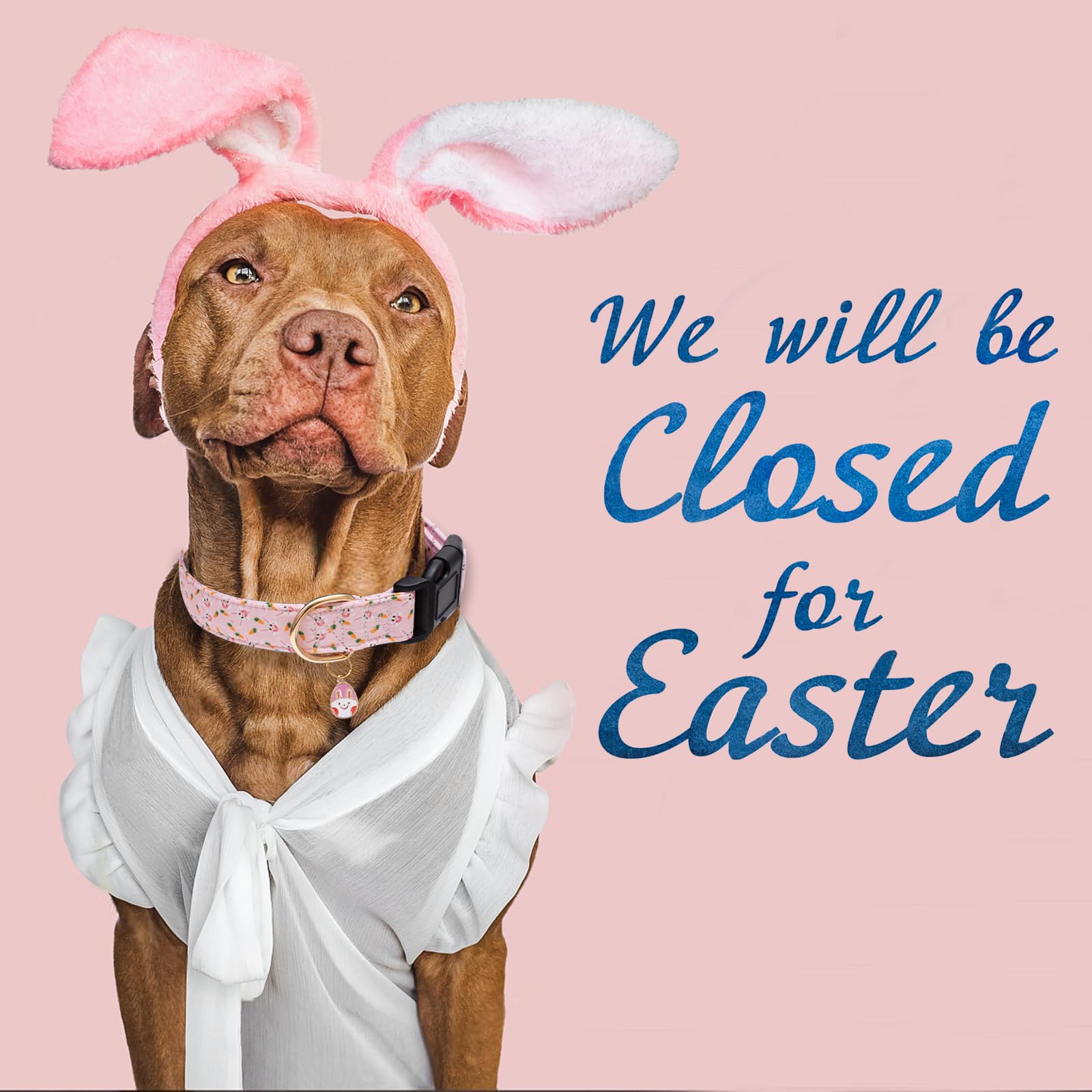 Faygarsle Cute Easter Collar For Small Medium Large Dogs Girl Boy Female Male Dog Pink Cotton With Adorable Rabbit Print Easter Puppy Collar With Easter Egg Charm Xl