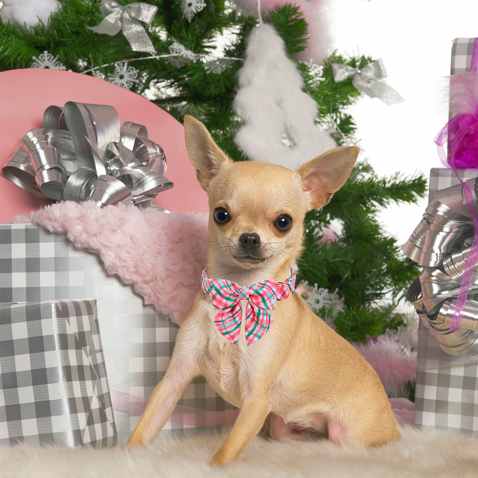 Unique Style Paws Dog Collar With Tie Pink & Green Plaid Dog Collar Best Gifts For Small Medium Large Dogs -S