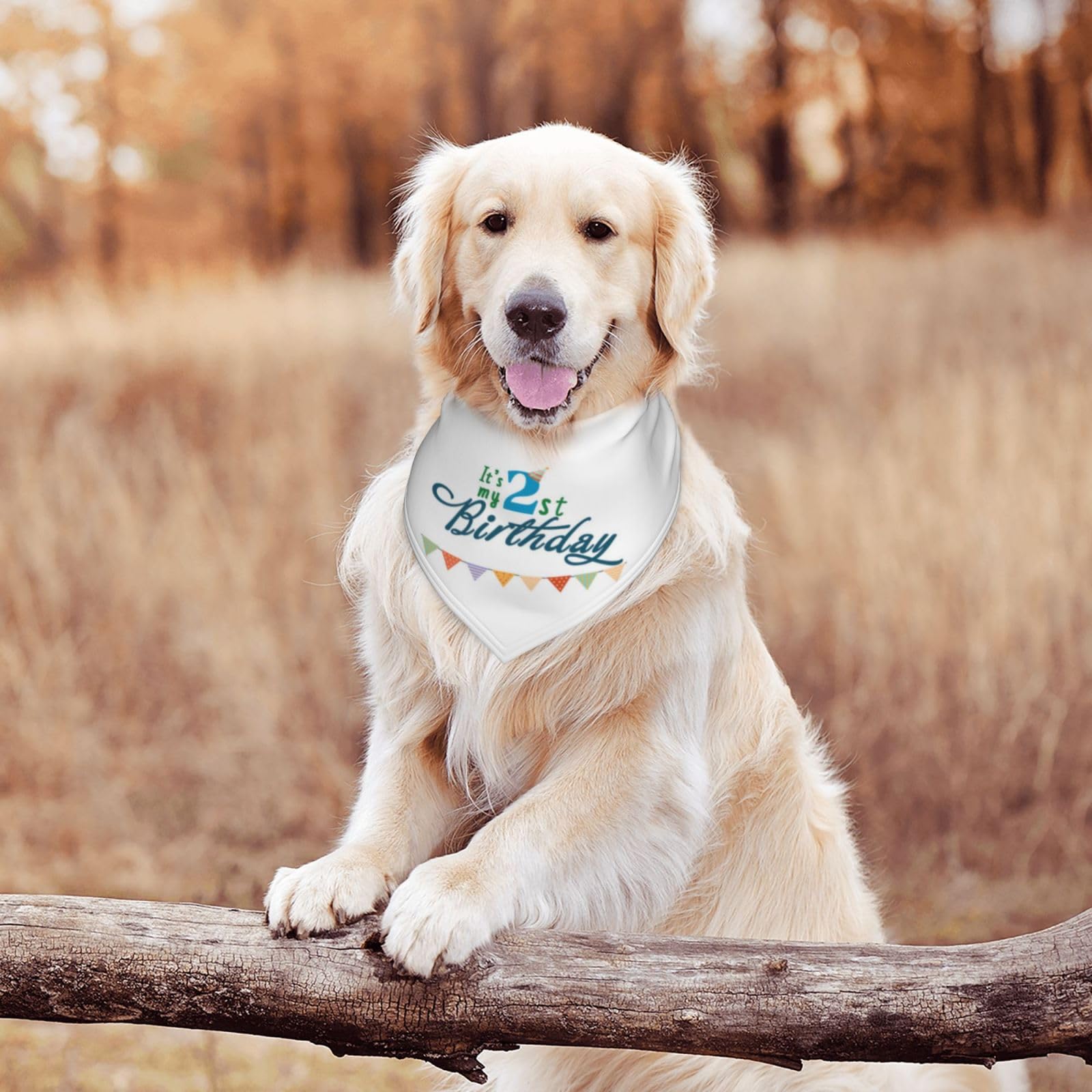 It'S My 2Nd Birthday Blue Dog Bandana Scarf Triangle Bibs Pet Accessories Cat Kerchief