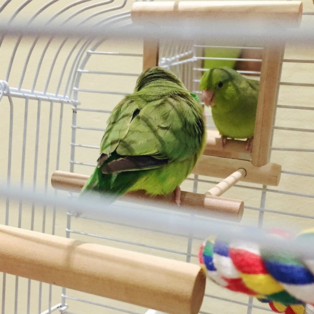 Hanze Bird Mirror With Swing Hummingbird Swing Bird Perches For Parrots Stand Wooden Swing Toy For Macaws Lovebird Cockatoo Para