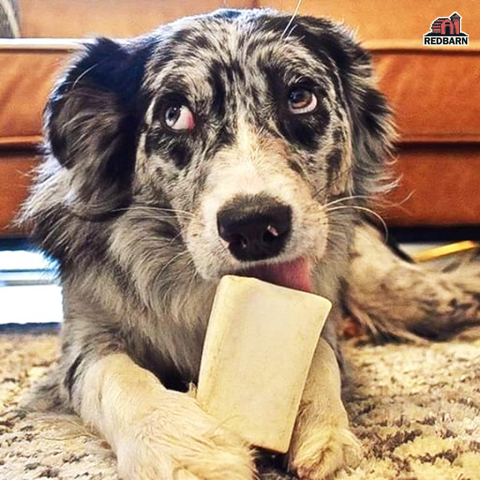 Redbarn Filled Dog Bones, Natural Long-Lasting Dental Treats; Suitable for Aggressive Chewers, Small (3) - 10 Bones (Cheese N B