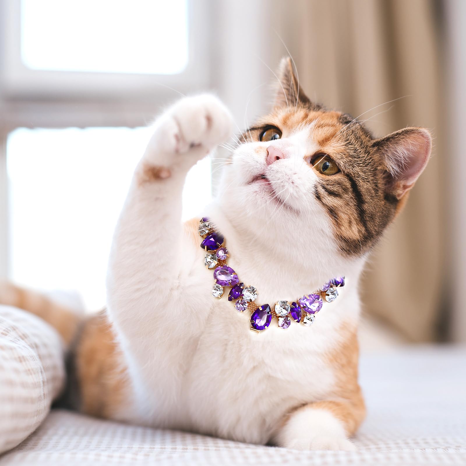 Howwfaly Purple Diamonds Gold Link Style Cat & Dog Collar With Pet Paw Design, Stainless Steel, Adjustable, L, Unisex, Small & M