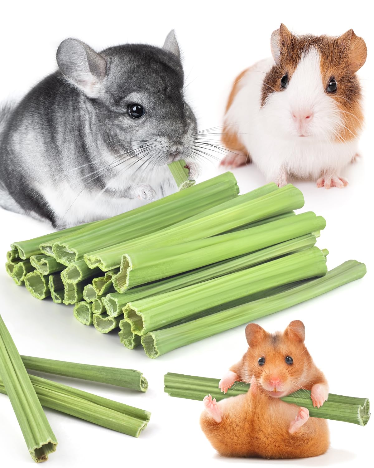 Bissap 25 PCS Guinea Pigs Chew Sticks, Natural Papaya Stems Bunny Chews Treats for Hamsters Chinchillas Small Animals Organic Mo