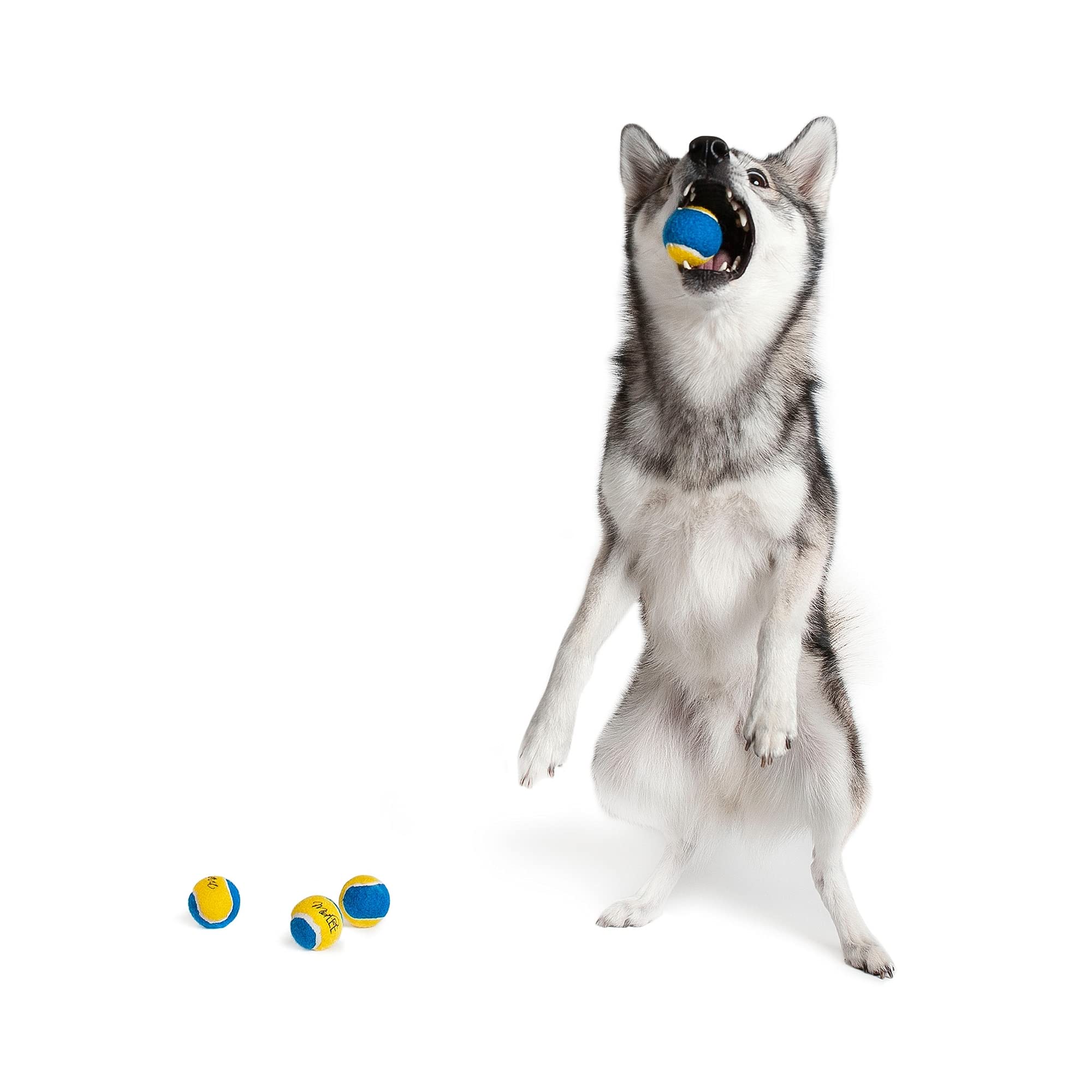 Midlee Mini Dog Tennis Balls - Blue/Yellow- Pack Of 4