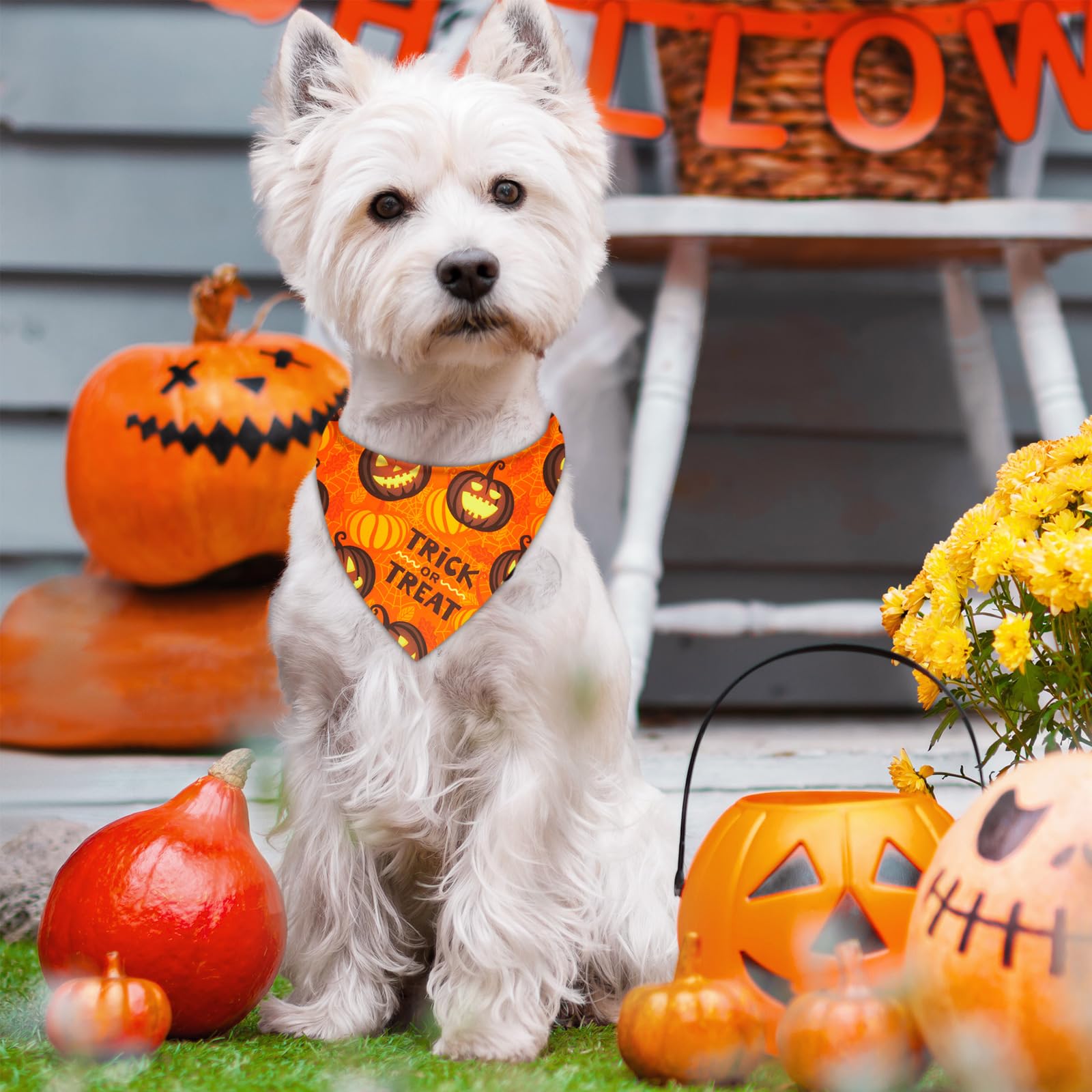 Preboun 50 Pcs Halloween Dog Bandanas Bulk Pumpkin Ghost Bandanas for Dogs Colorful Triangle Kerchief Bibs Scarf Set for Pet Cos