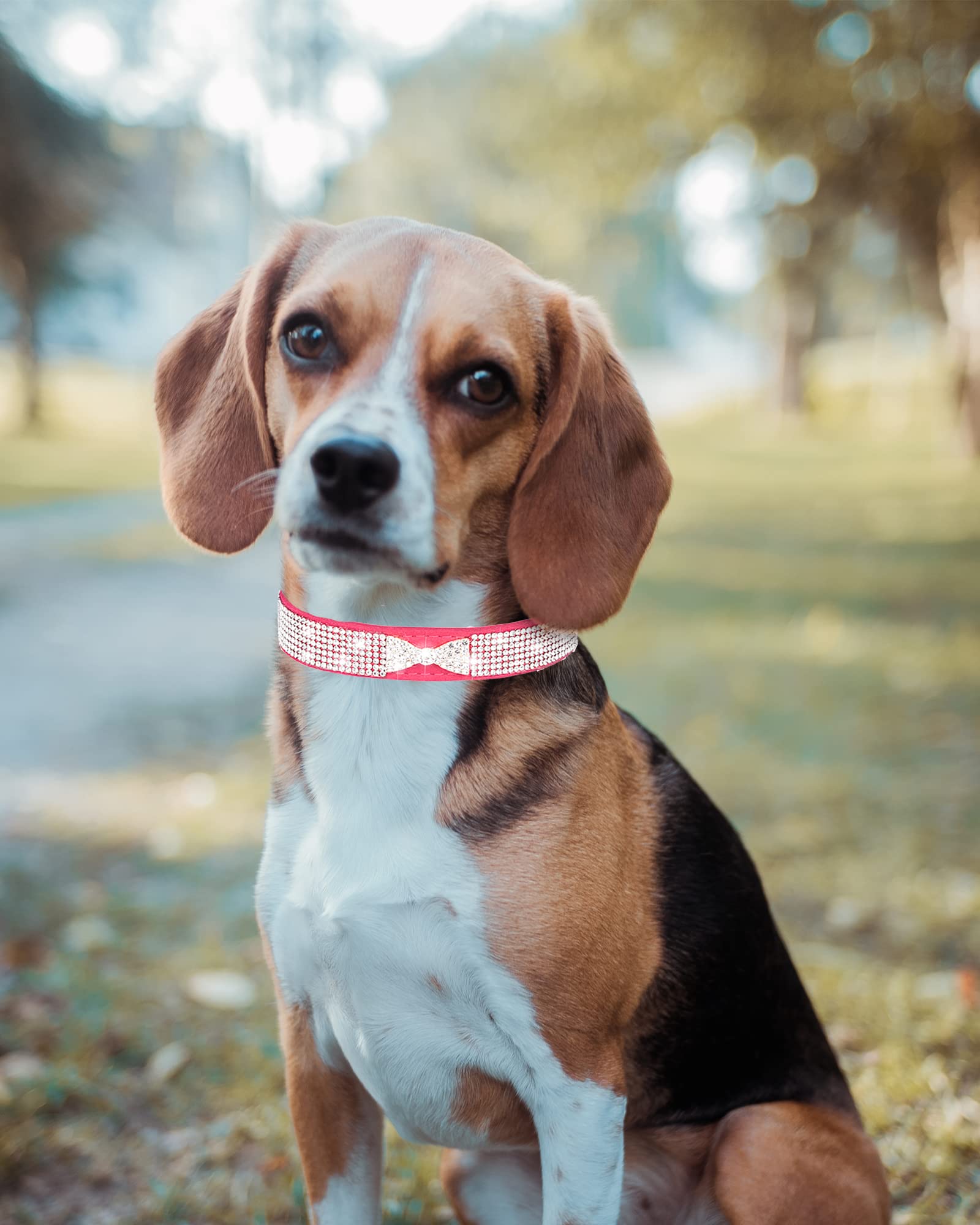 Bling Dog Collar For Small Medium Large Dogs, Crown Rhinestone Dog Collars For Girl And Boy Dog, Diamond Puppy Collars, Adjustab