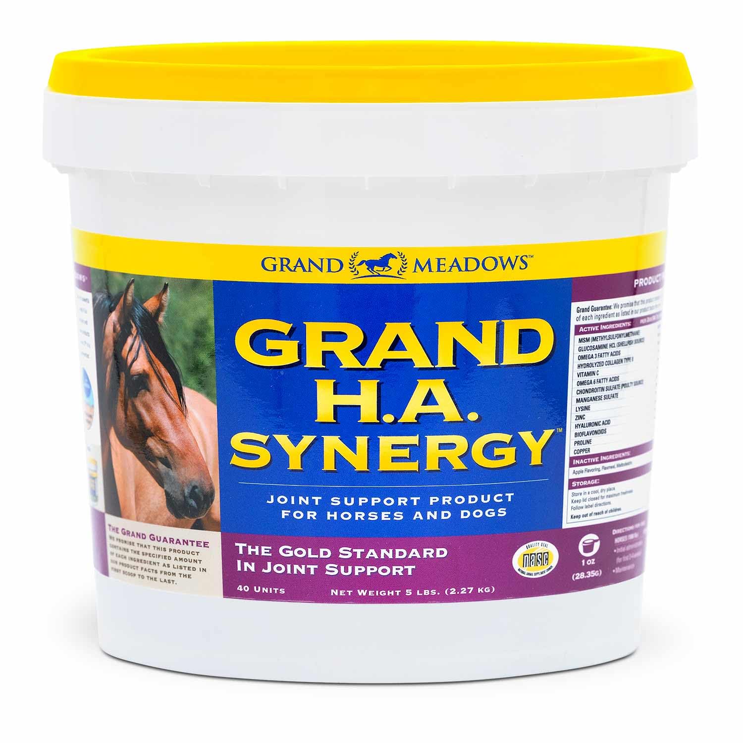 Grand H.A. Synergy Advanced Joint Supplement for Horses & Dogs, 5 lb - Apple Flavor Powder with Hyaluronic Acid, Glucosamine, MS
