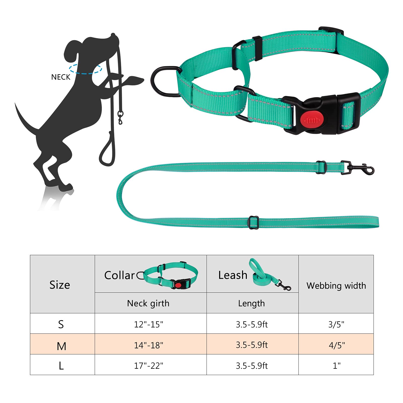 Martingale Dog Collar And Leash Set Martingale Collars For Dogs Reflective Martingale Collar For Small Medium Large Dogs(Mint Green&M)