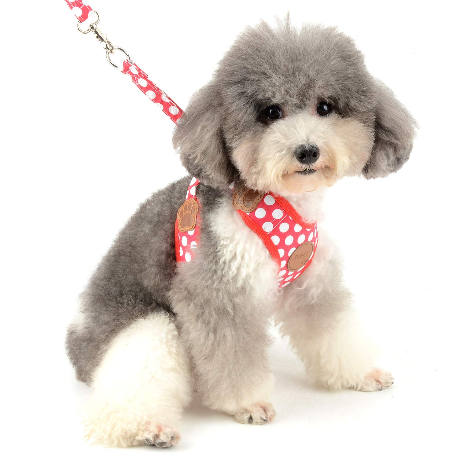 Smalllee_Lucky_Store Cwyp00068-Red-S New Soft Mesh Nylon Vest Pet Cat Small Medium Dog Harness Dog Leash Set Leads ,Red , S