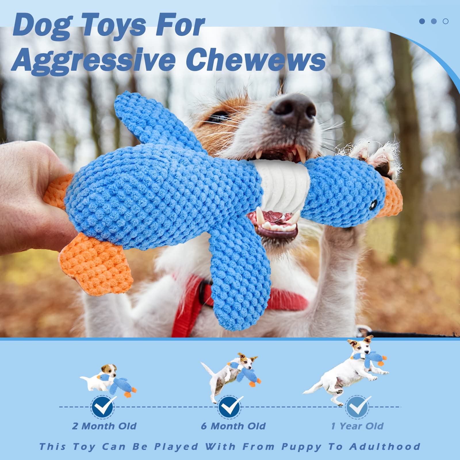 Vitscan 2 Pack Goose Tough Dog Toys for Aggressive Chewers, Durable Squeaky Dog Chew Toys for Small Medium Large Dogs, Plush Int