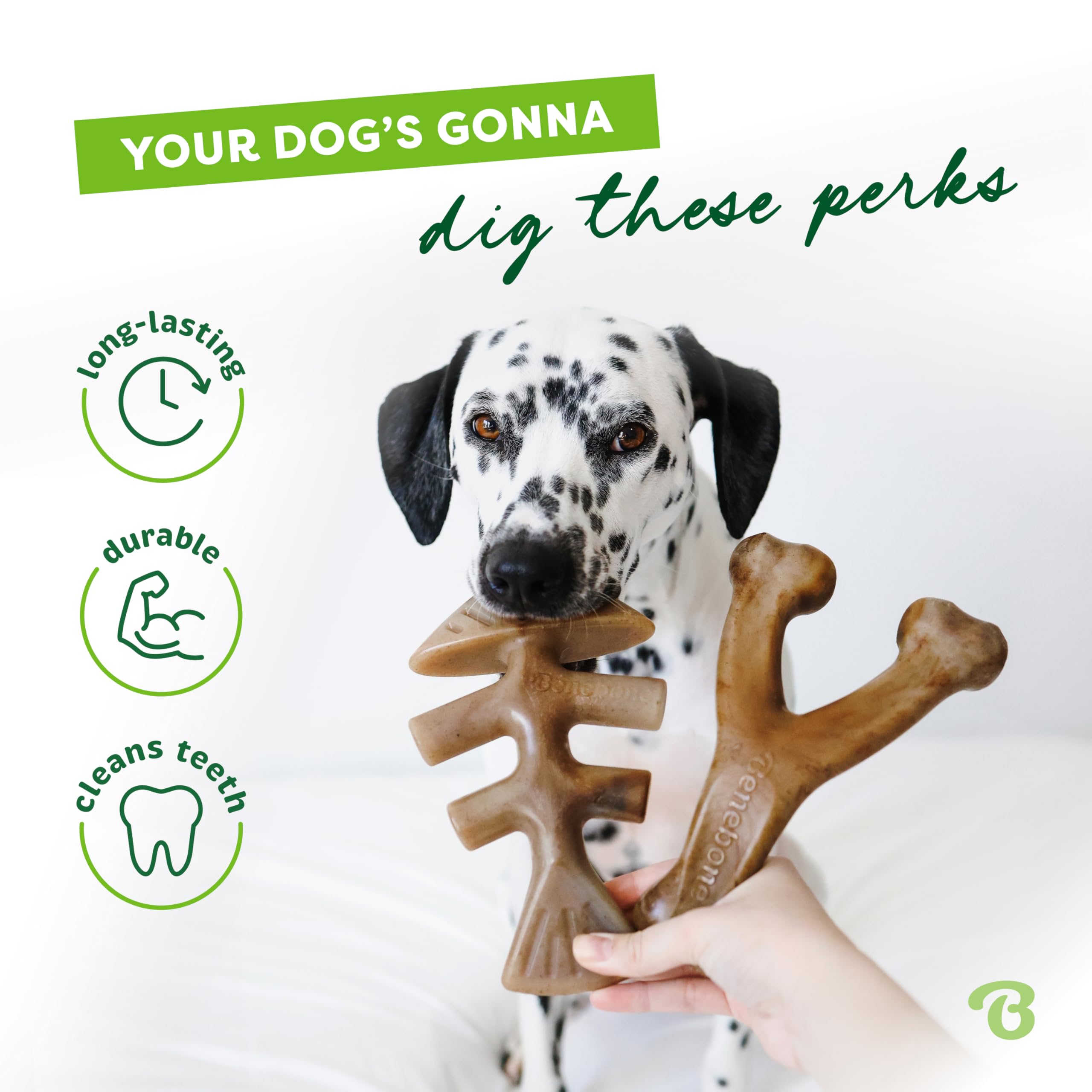 Benebone Set Of 1 Fishbone/Wishbone Durable Dog Chew Toys, Real Fish, Real Bacon, Made In Usa, Small