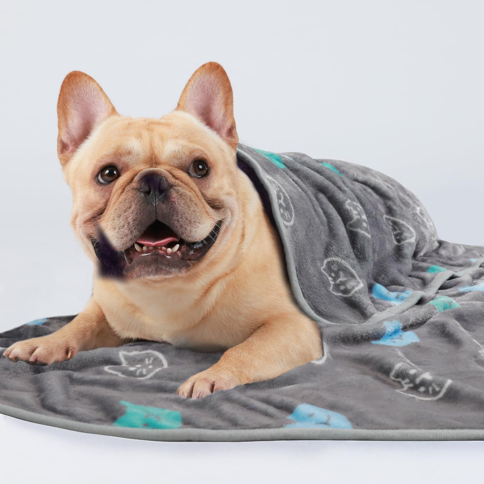 1 Pack 3 Blankets Super Soft Fluffy Premium Cute Cat Pattern Pet Blanket Flannel Throw for Dog Puppy Kitten Blue/Cyan/Grey Mediu