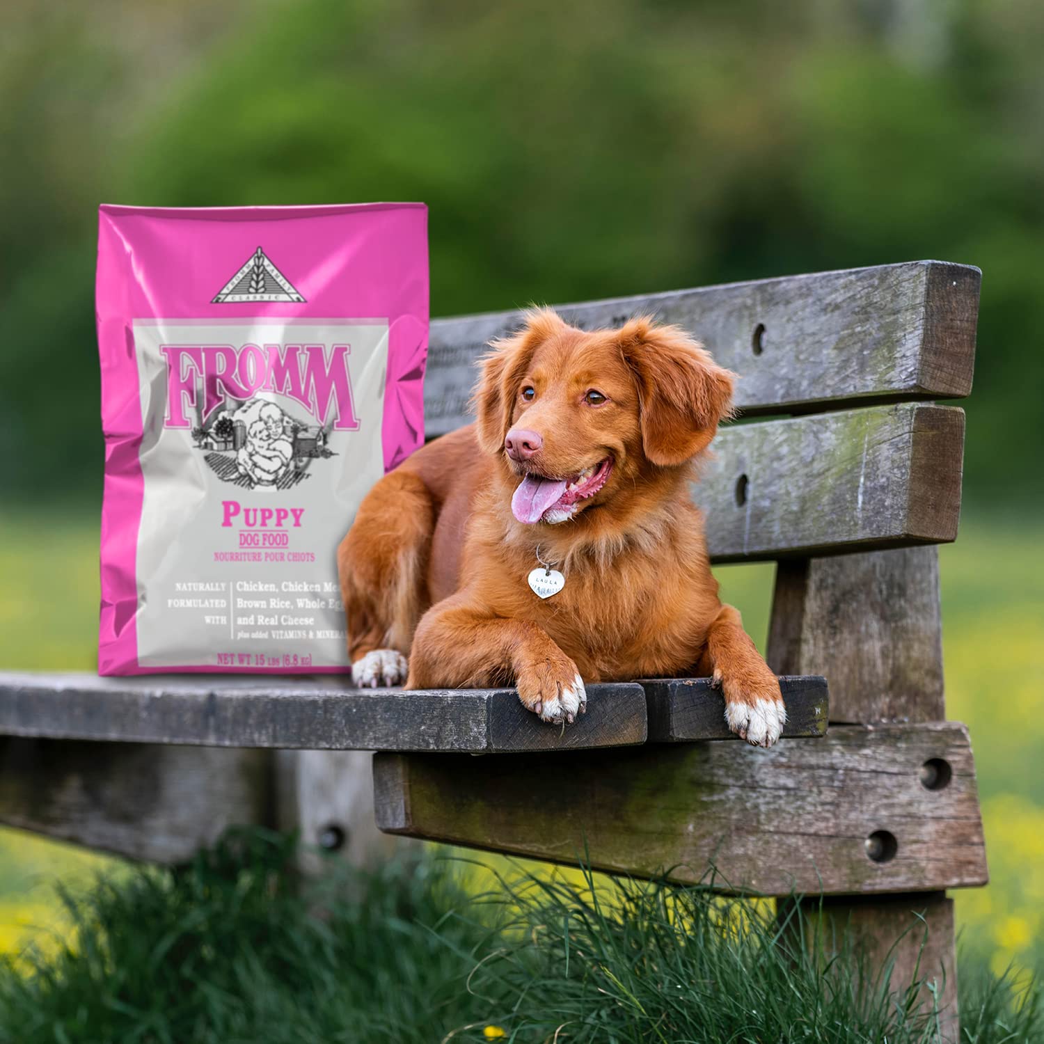 Fromm Classic Puppy Dog Food - Premium Dry Puppy Food for Large, Medium, & Small Breeds - Chicken Recipe - 30 lb
