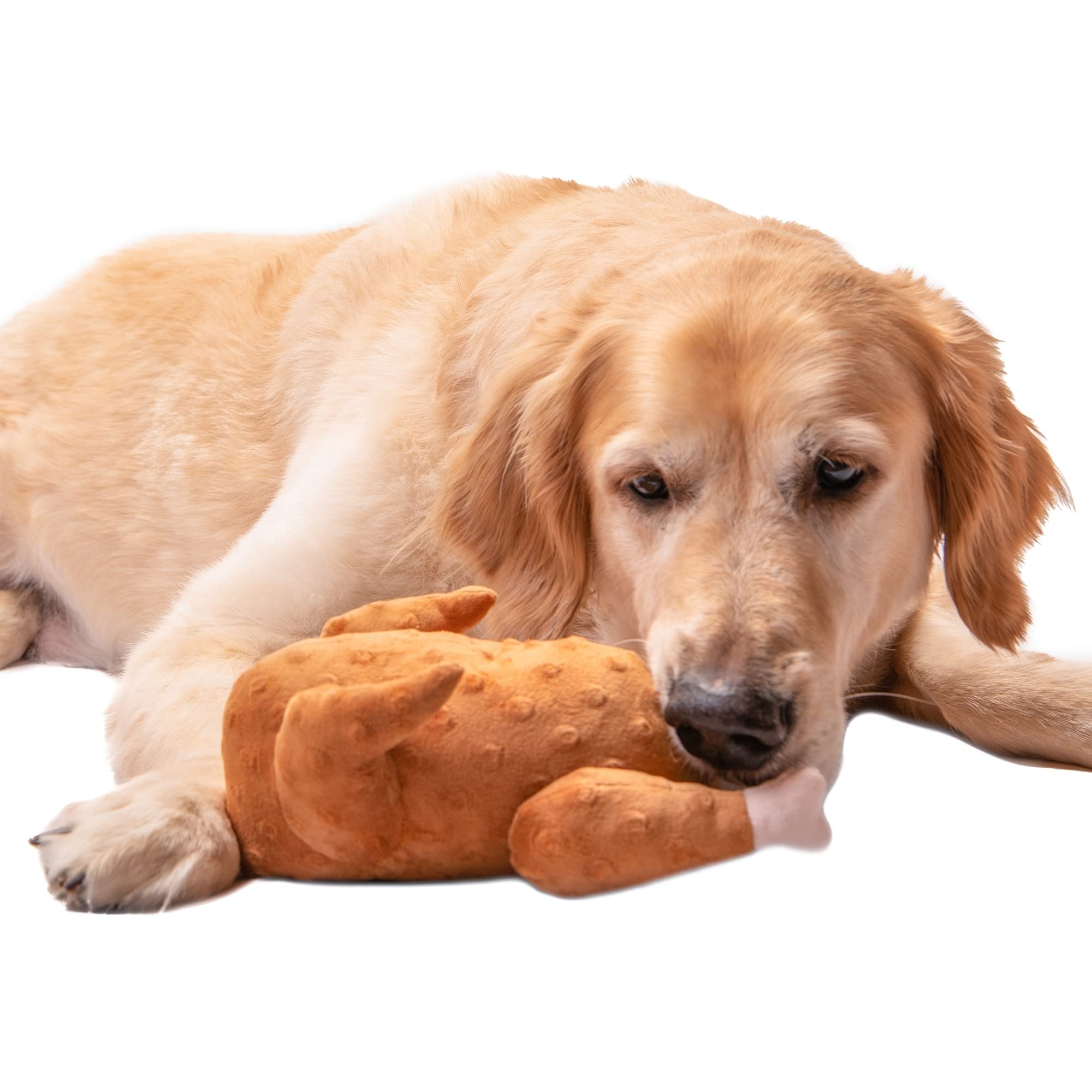 Midlee Plush Roasted Thanksgiving Turkey Dog Toy, Large, Multi Color