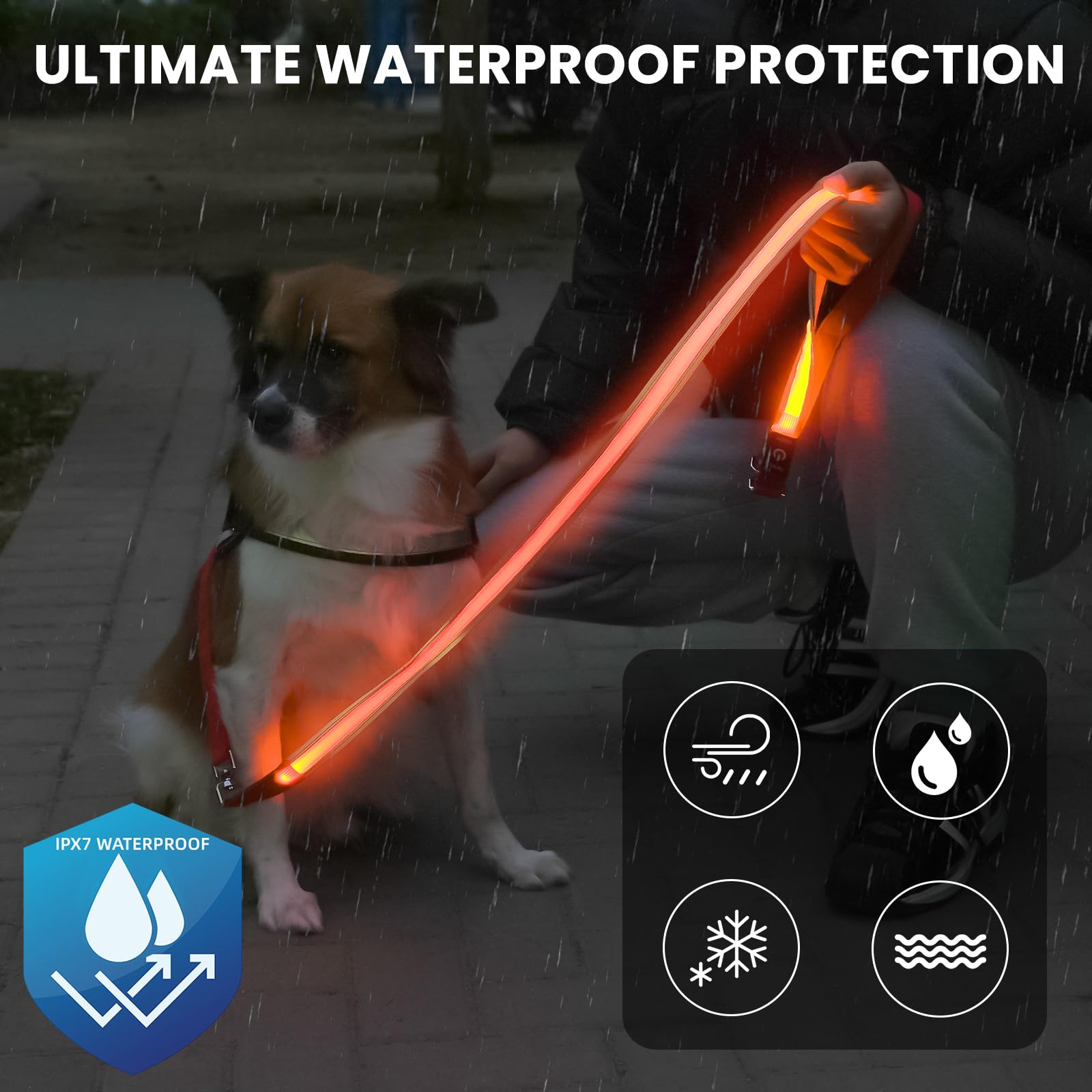 Petisay Led Dog Leash - Rechargeable, Waterproof & Reflective, 6Ft Tangle-Free For Night Walking(White)