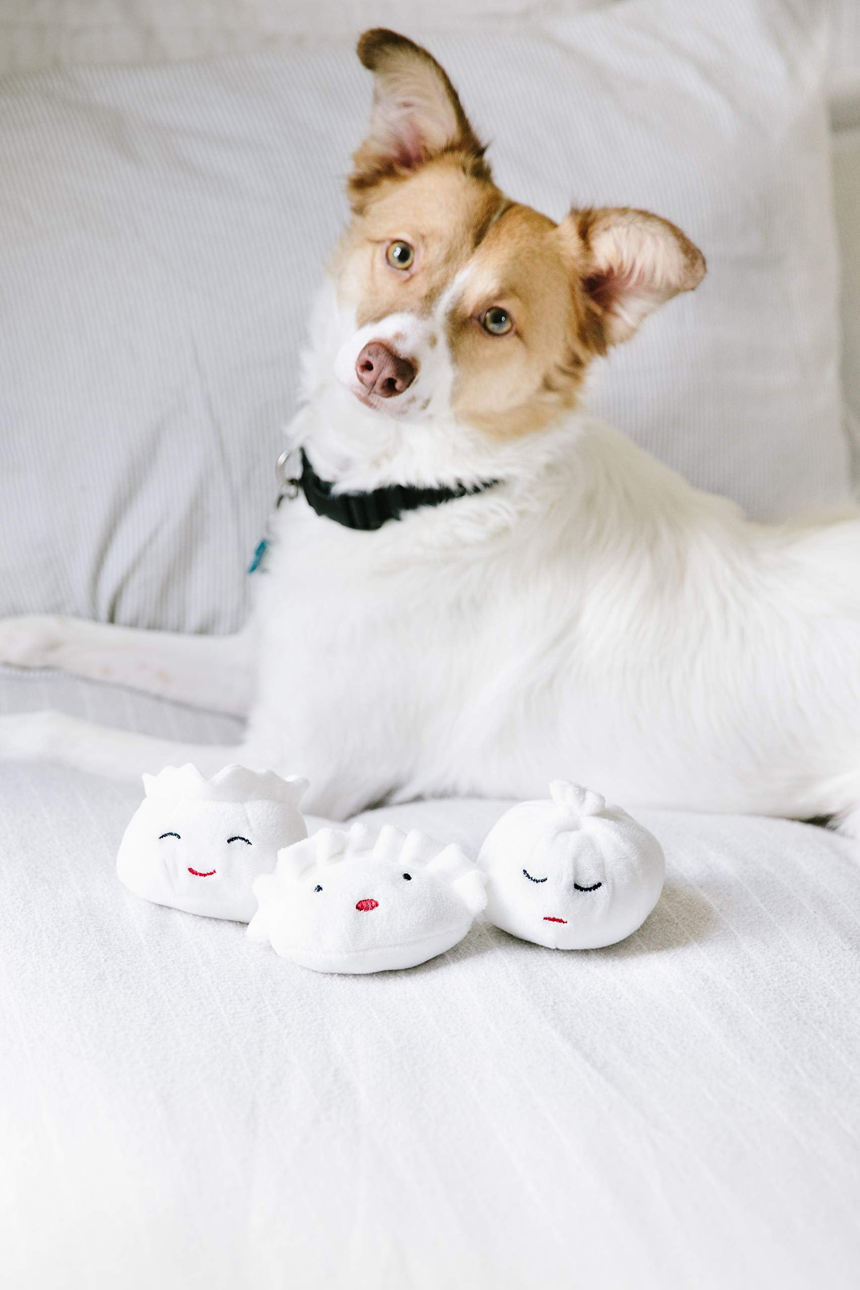 Pearhead Dim Sum Pet Toys, Squeaky Dog Toy Set, Pet Owner Must Have Dog Accessory, Set Of 3, All Breed Sizes, White