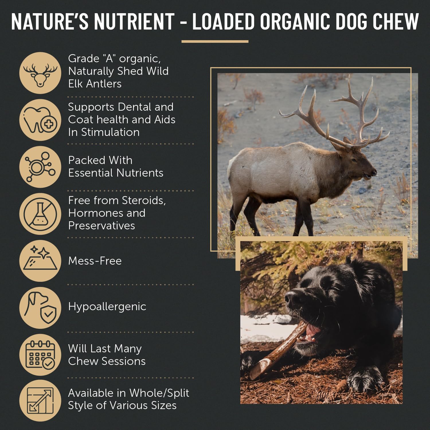 The Antler Box Premium Elk Antler Dog Chews (1 Pound Box) (Large (3 Pieces) Whole Only)