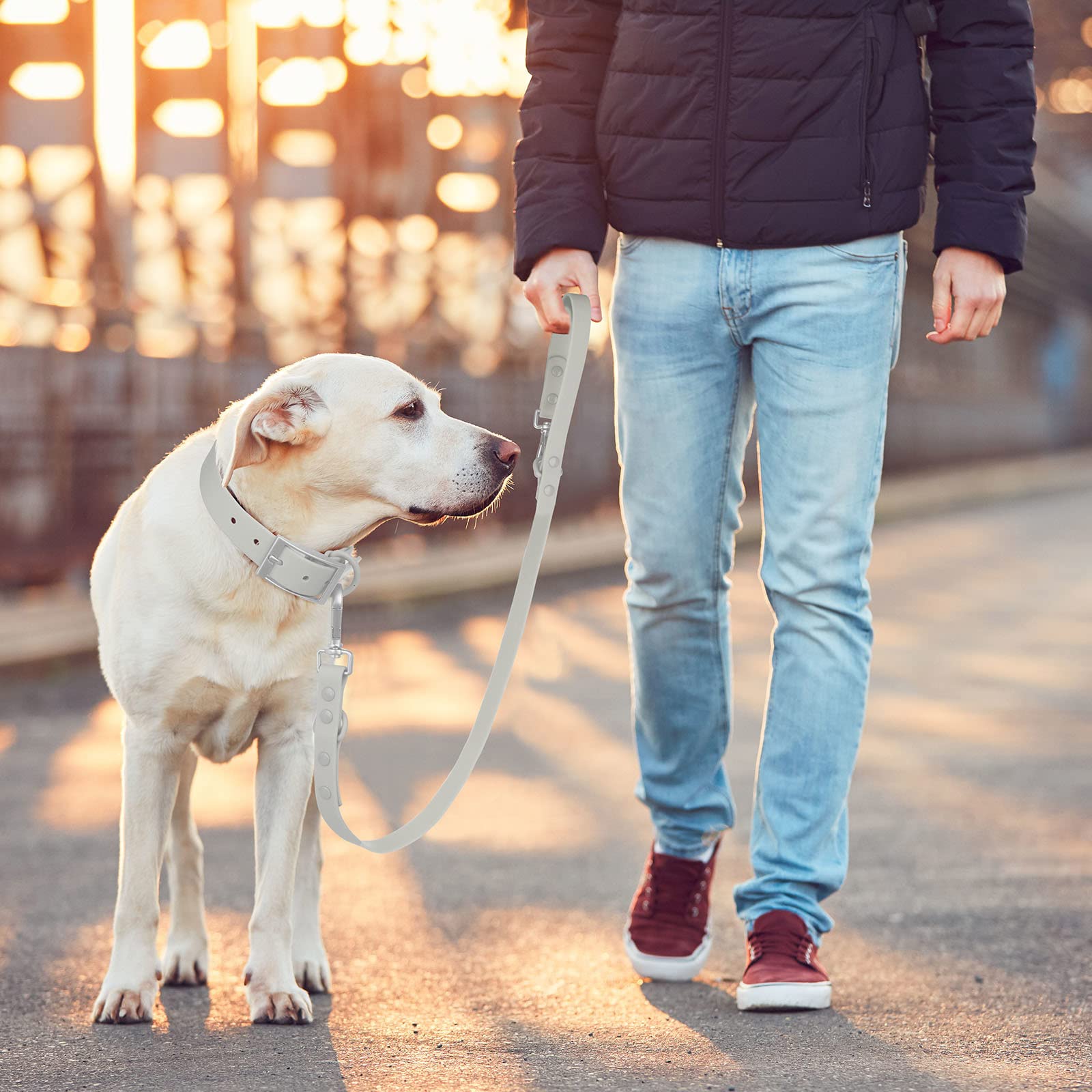 Waterproof Dog Leash: Standard Dog Leashes With 2 Hooks For Walking, Adjustable Lengths For Traffic Control Safety, Durable And Odor Proof, For Medium Large Dogs (L|3/4 In × 6 Ft, Gray)