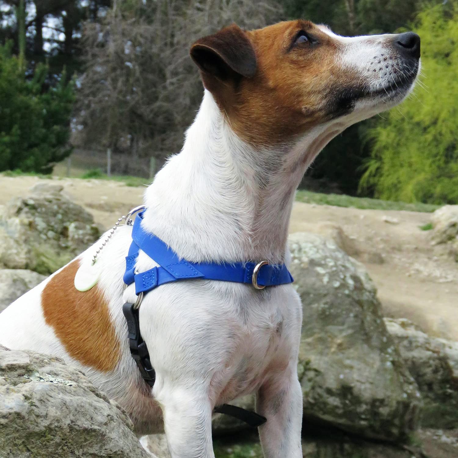 Ultrahund 'Freedom' No-Pull Harness, Medium, Red